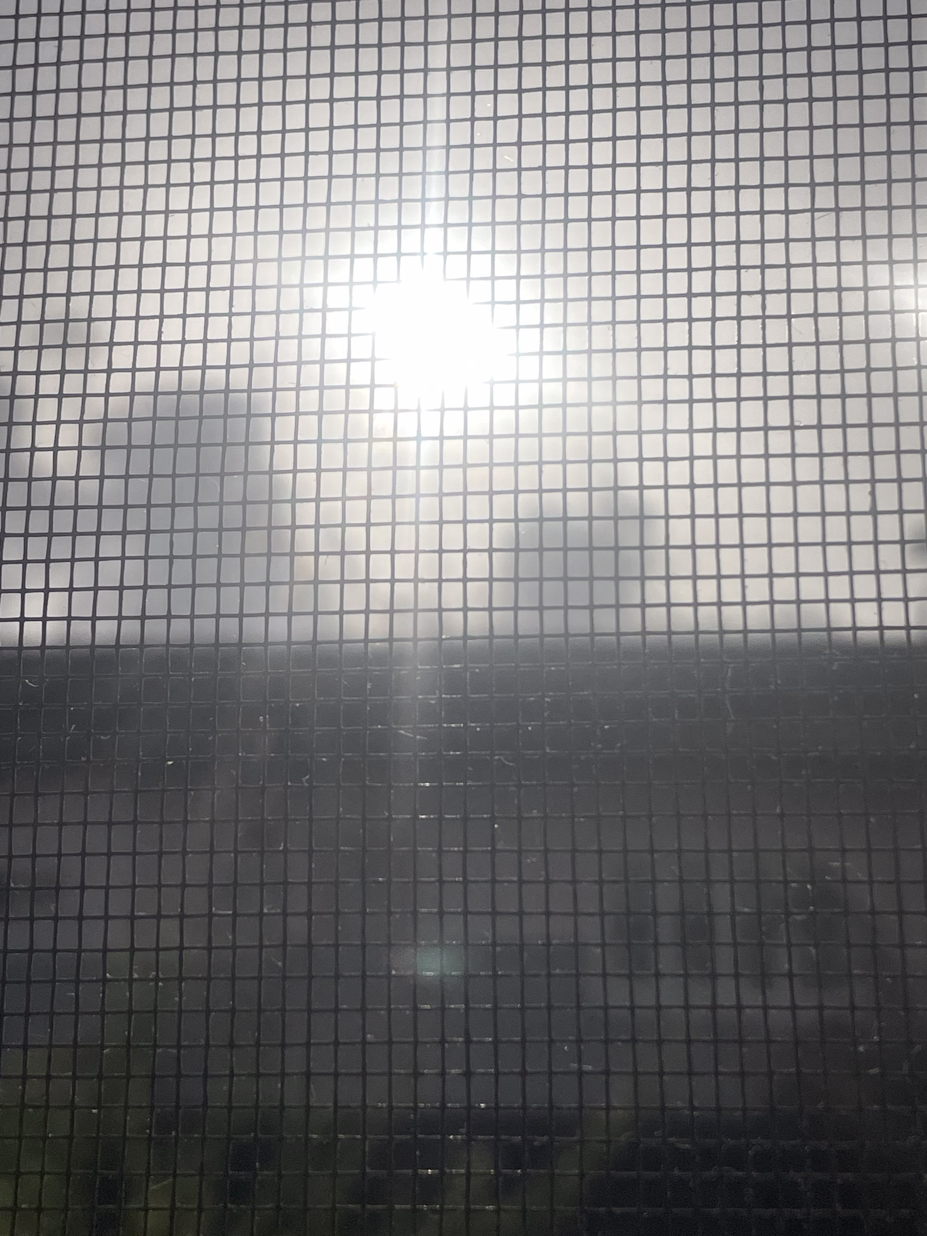 Sunrise from My Window