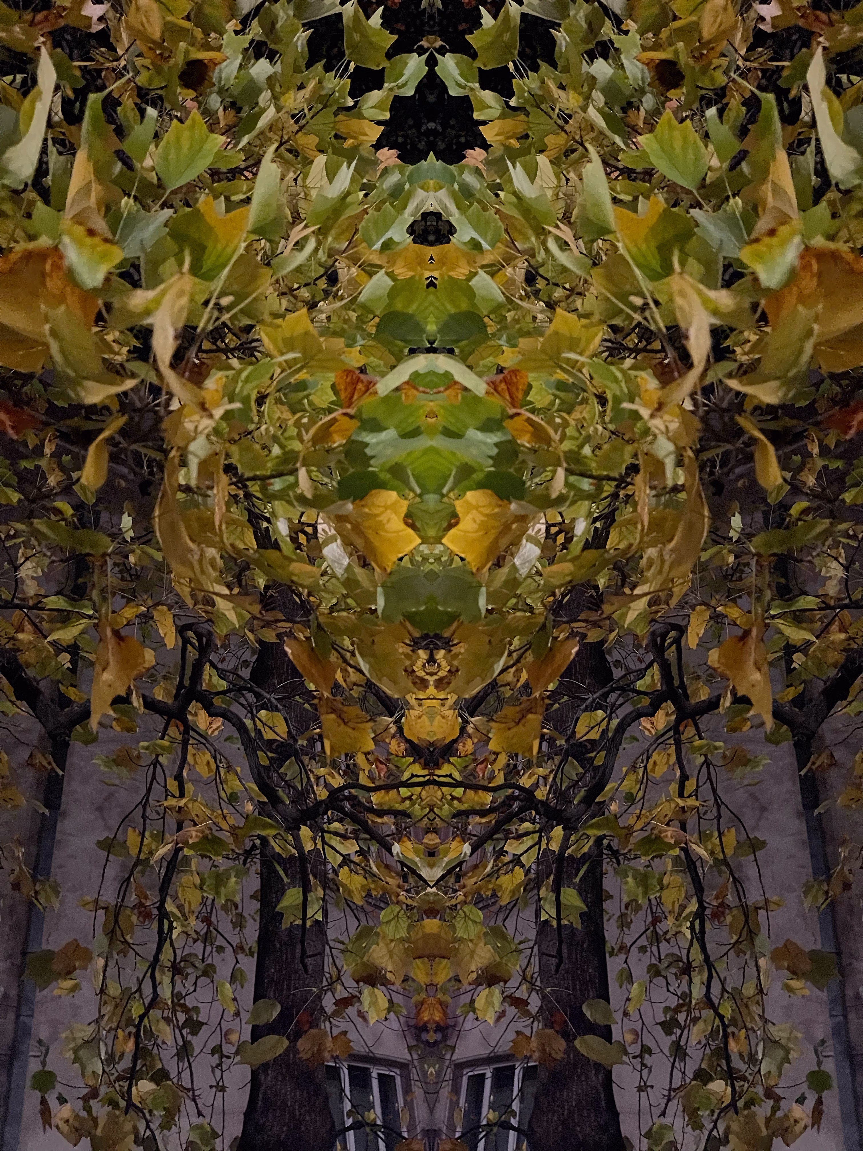 autumn fantasia