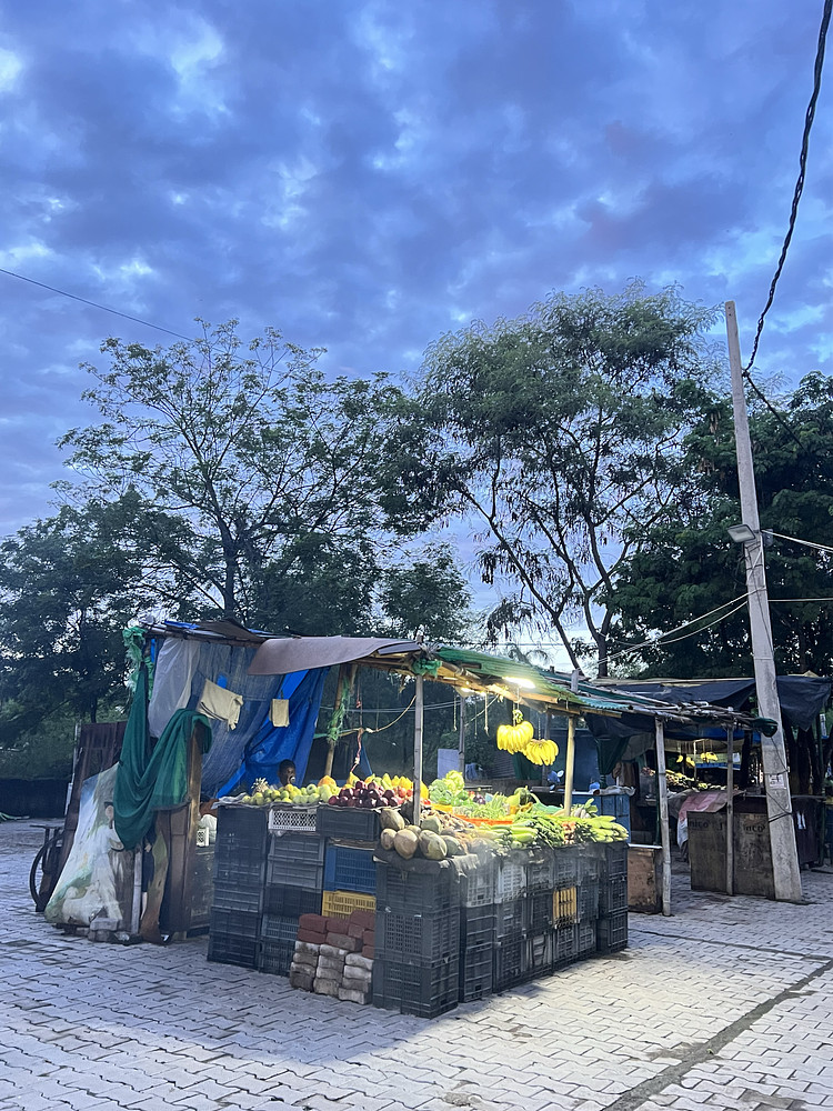 Fruit Seller