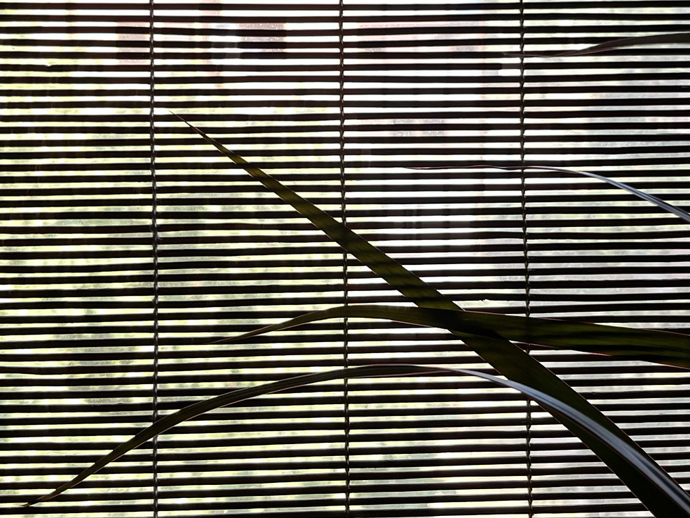 SunStripeS (4)