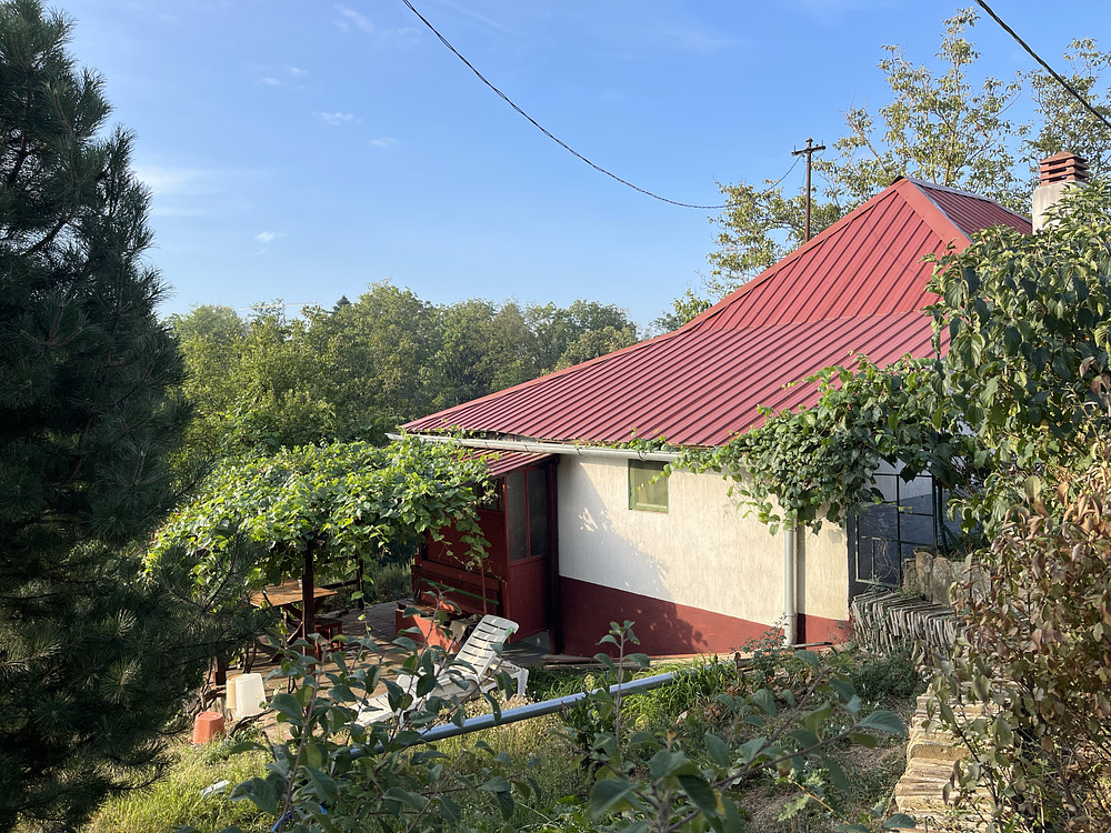 the house