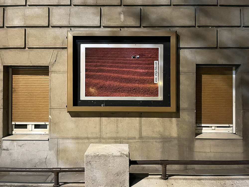 street photo exhibition 