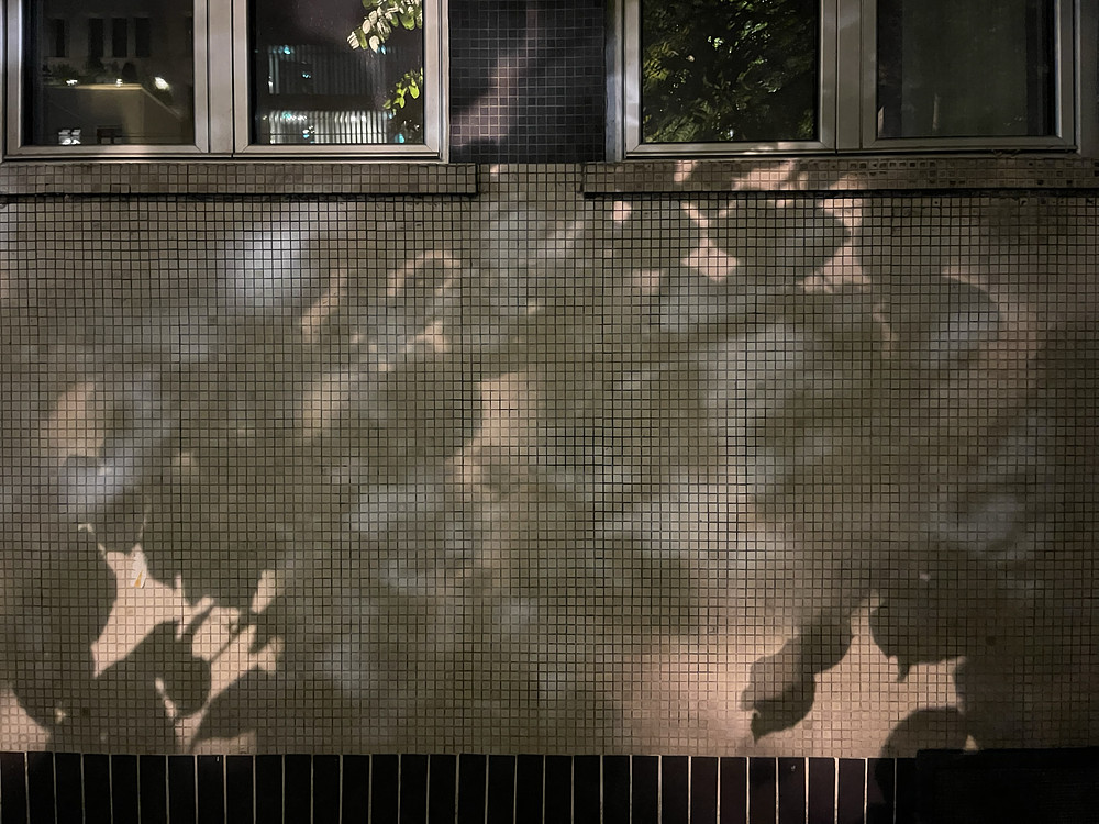 shadows on the wall 