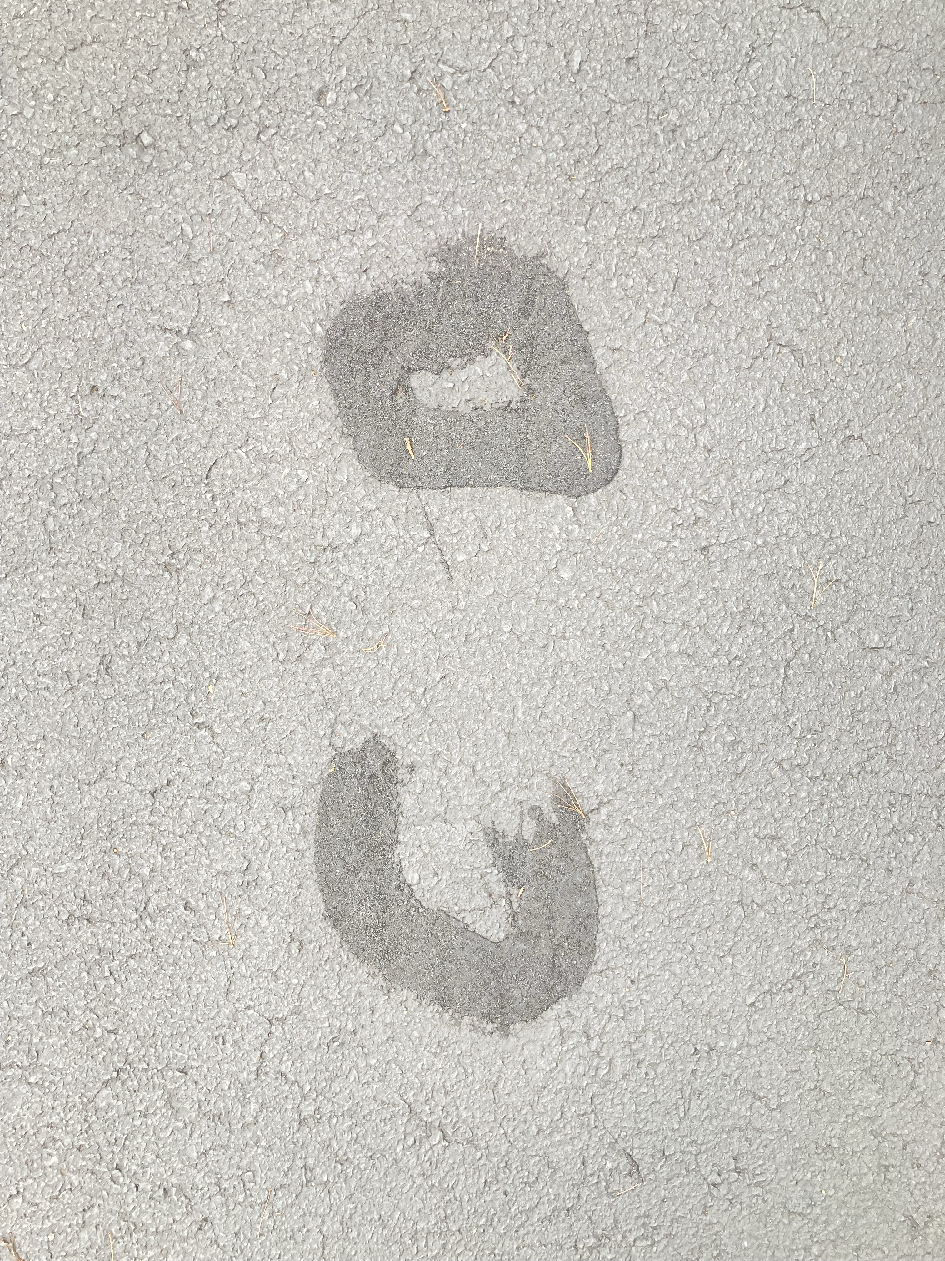 from a parking lot in the morning 