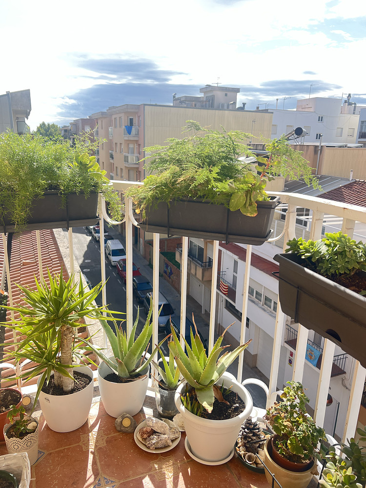 Spanish town roofs