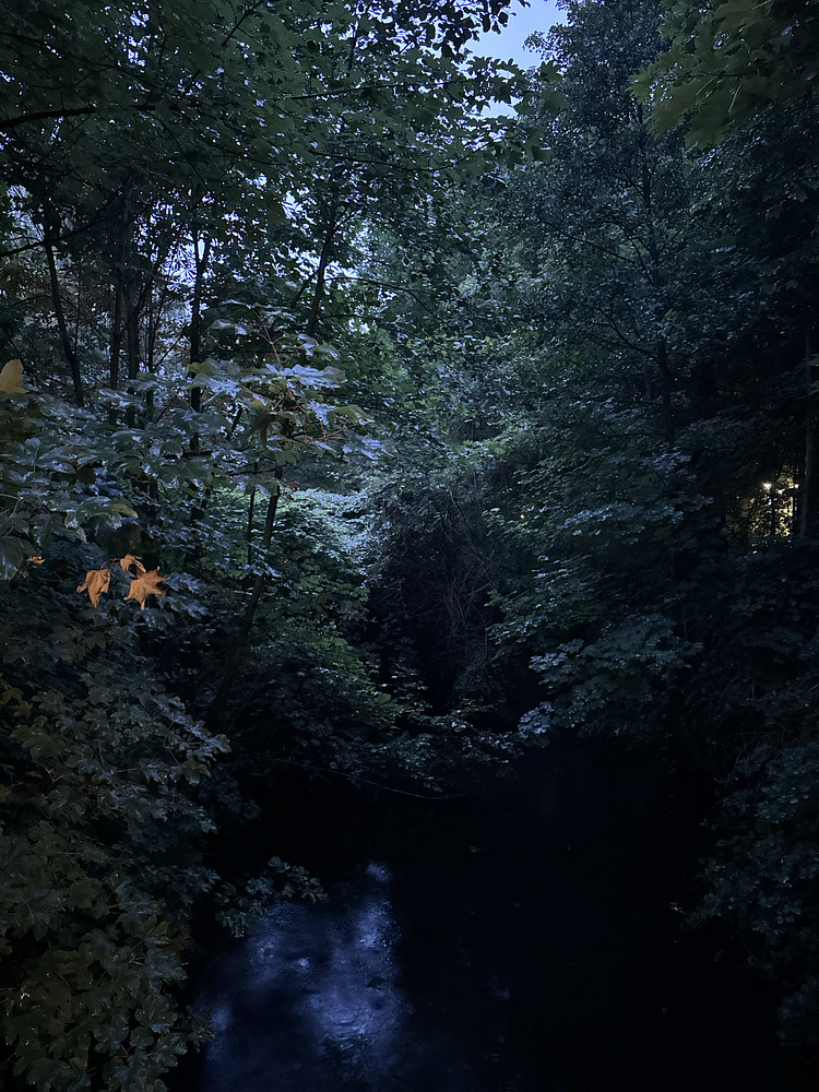Photo 1104090