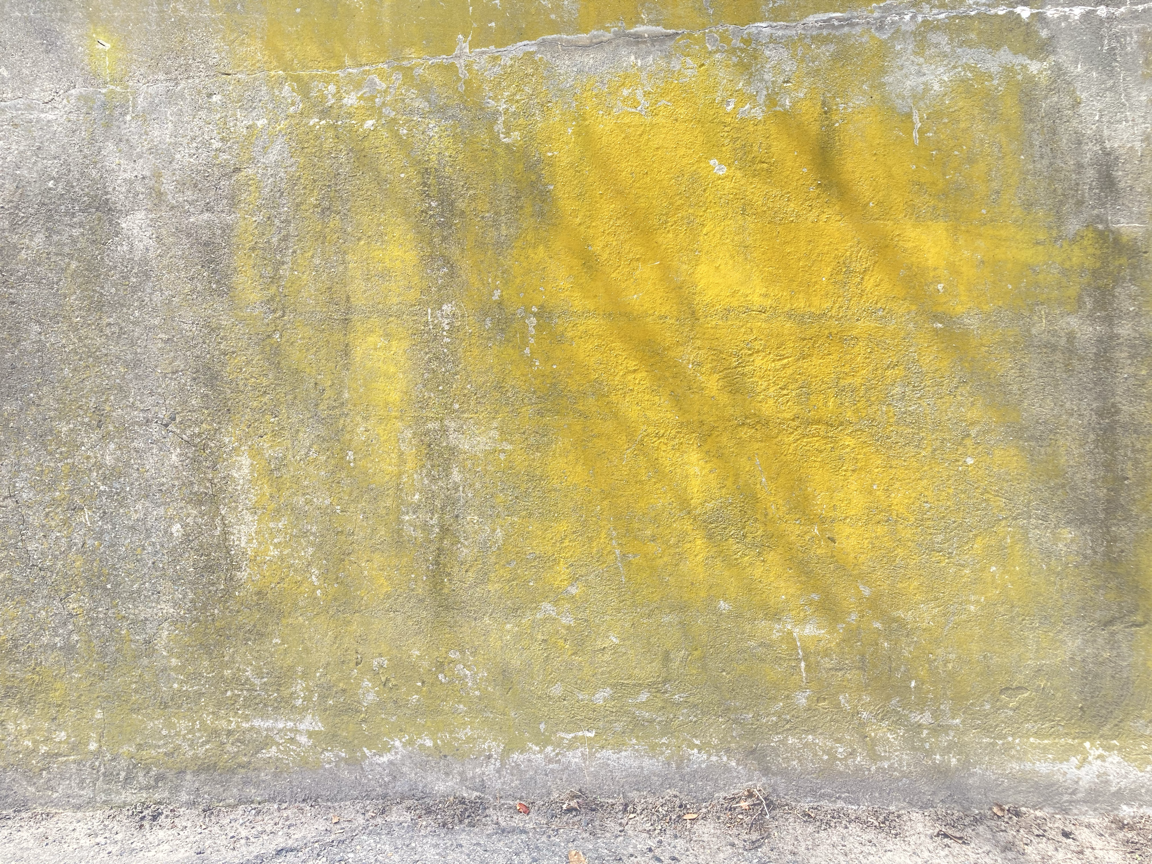 from an afternoon walk