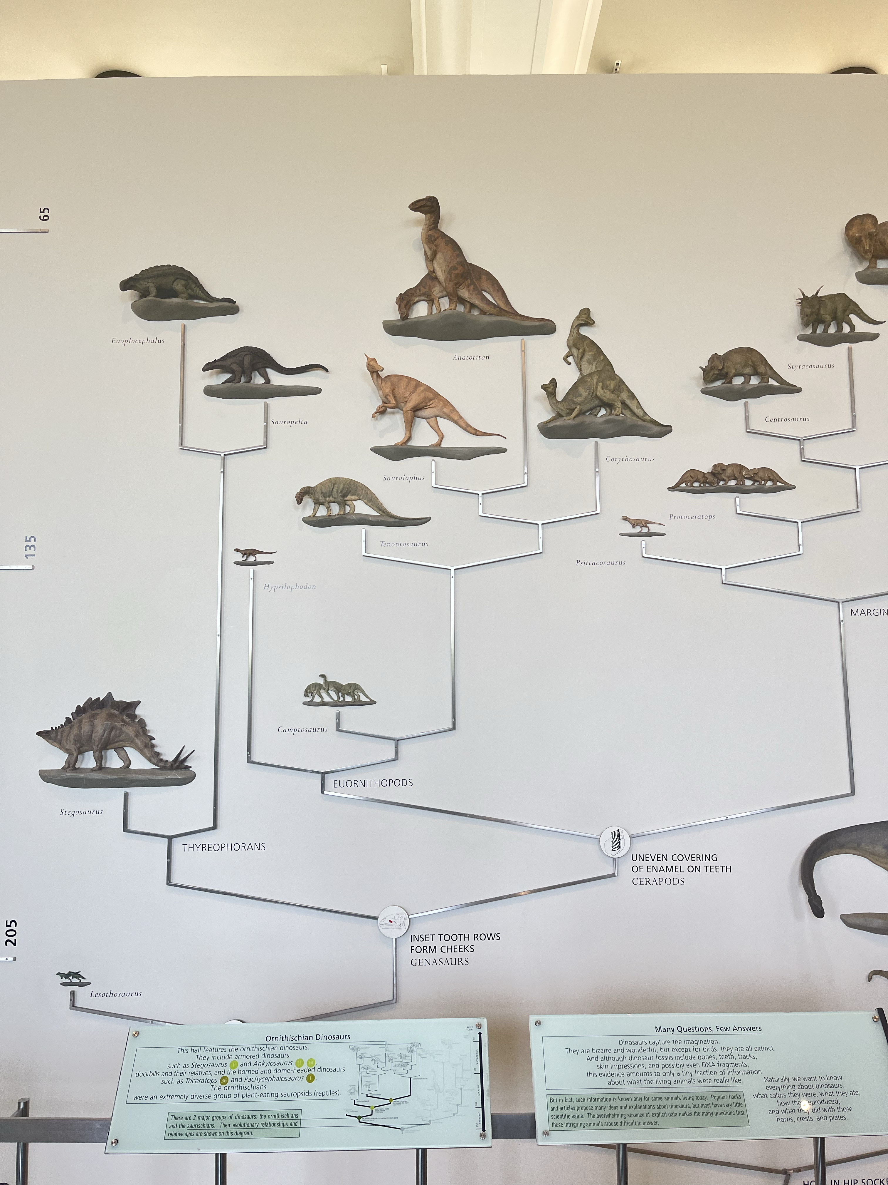 Tree of life classics