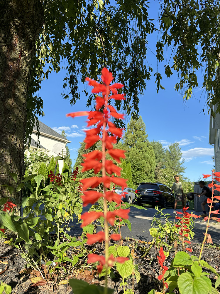 Photo 1088171