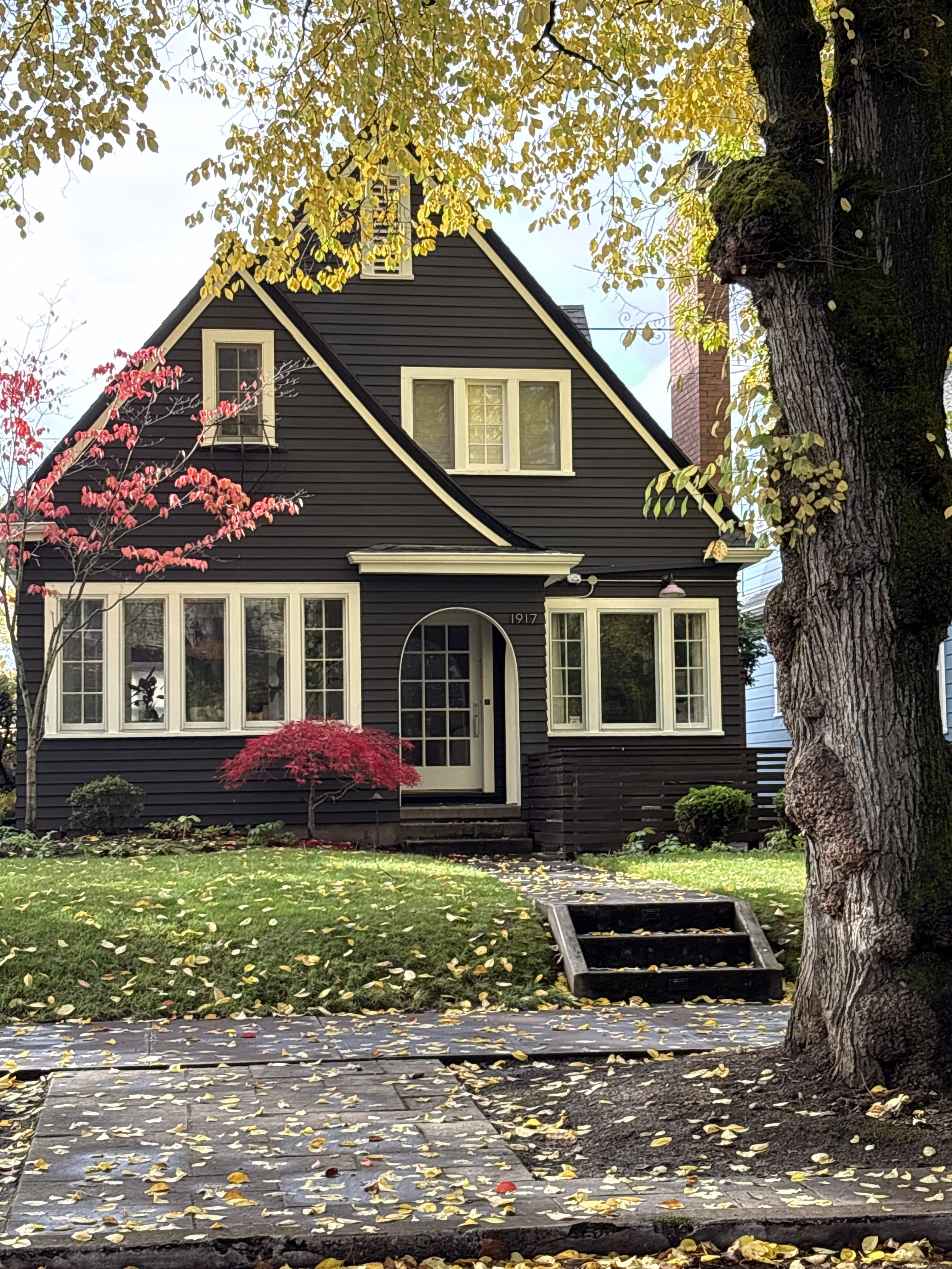 The quite quante life