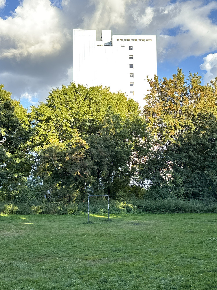 Photo 6163062