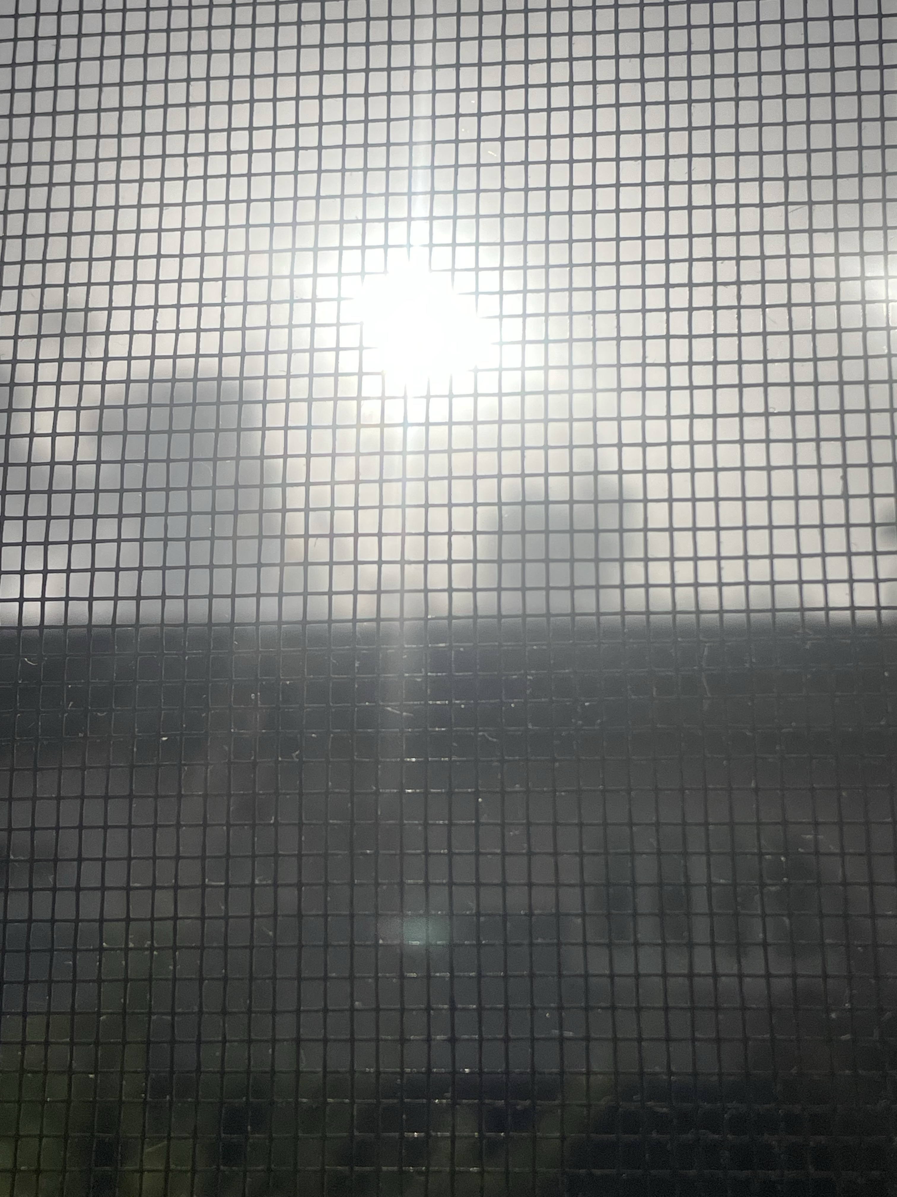 Sunrise from My Window