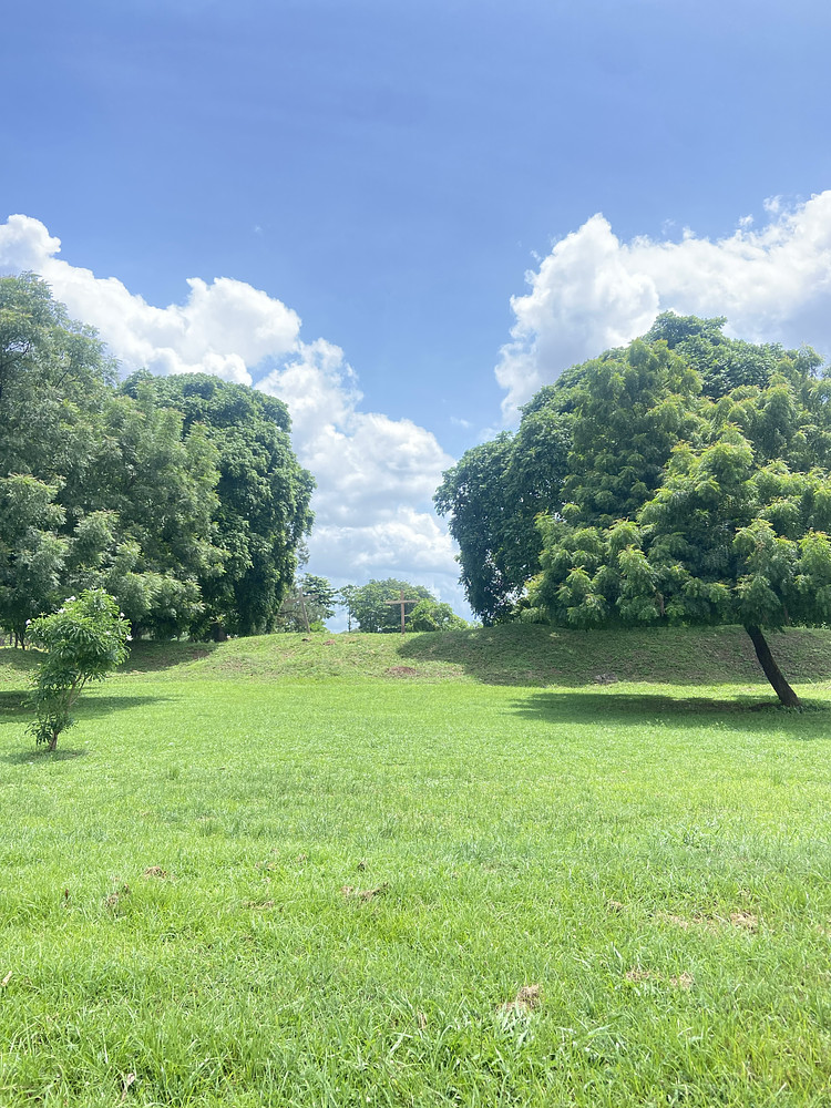 Cross garden