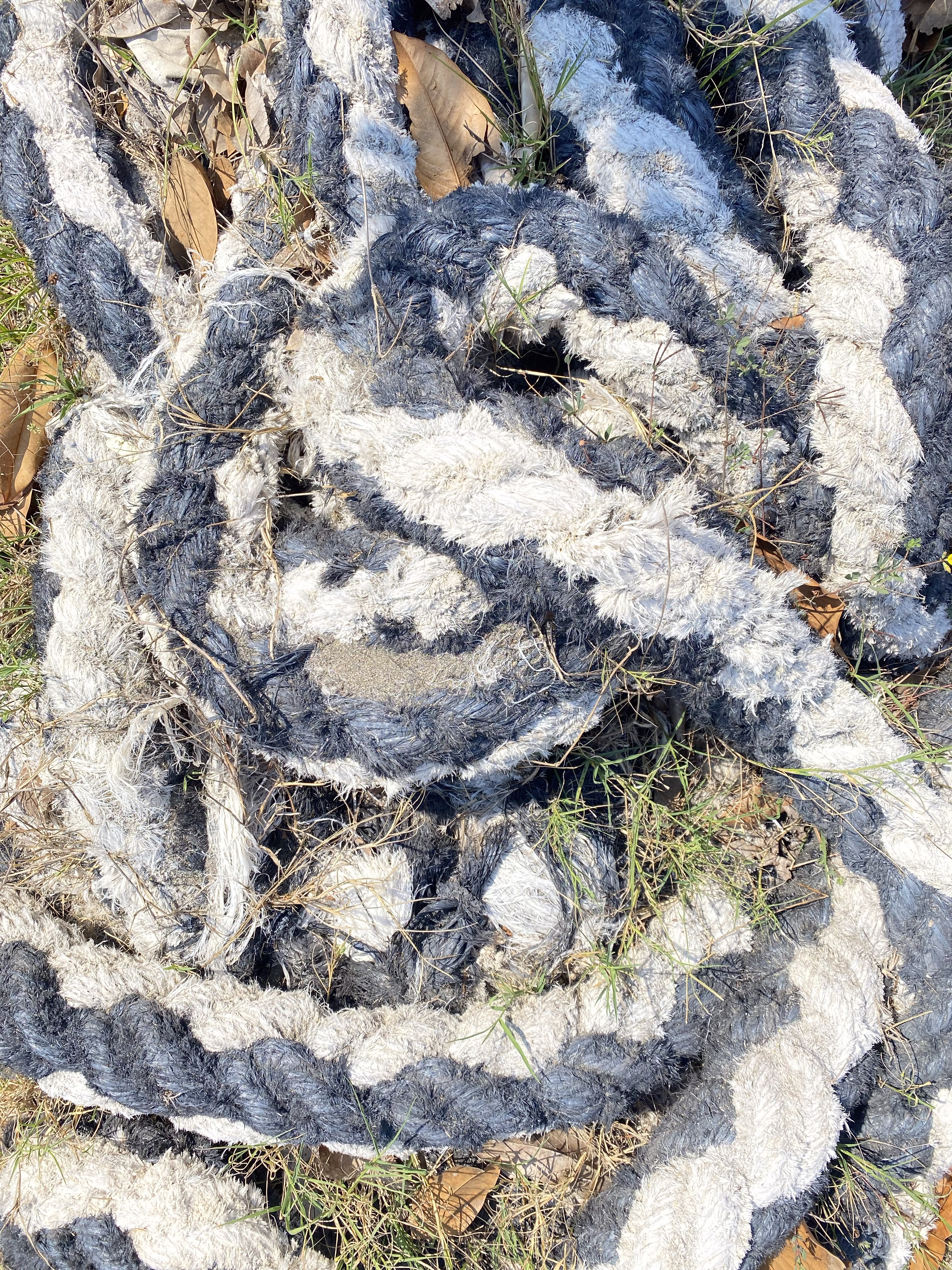 Echoes of the Sea in the Grass