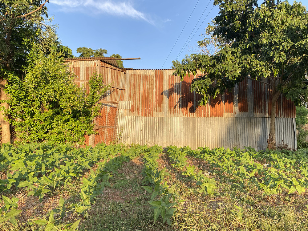 A farm