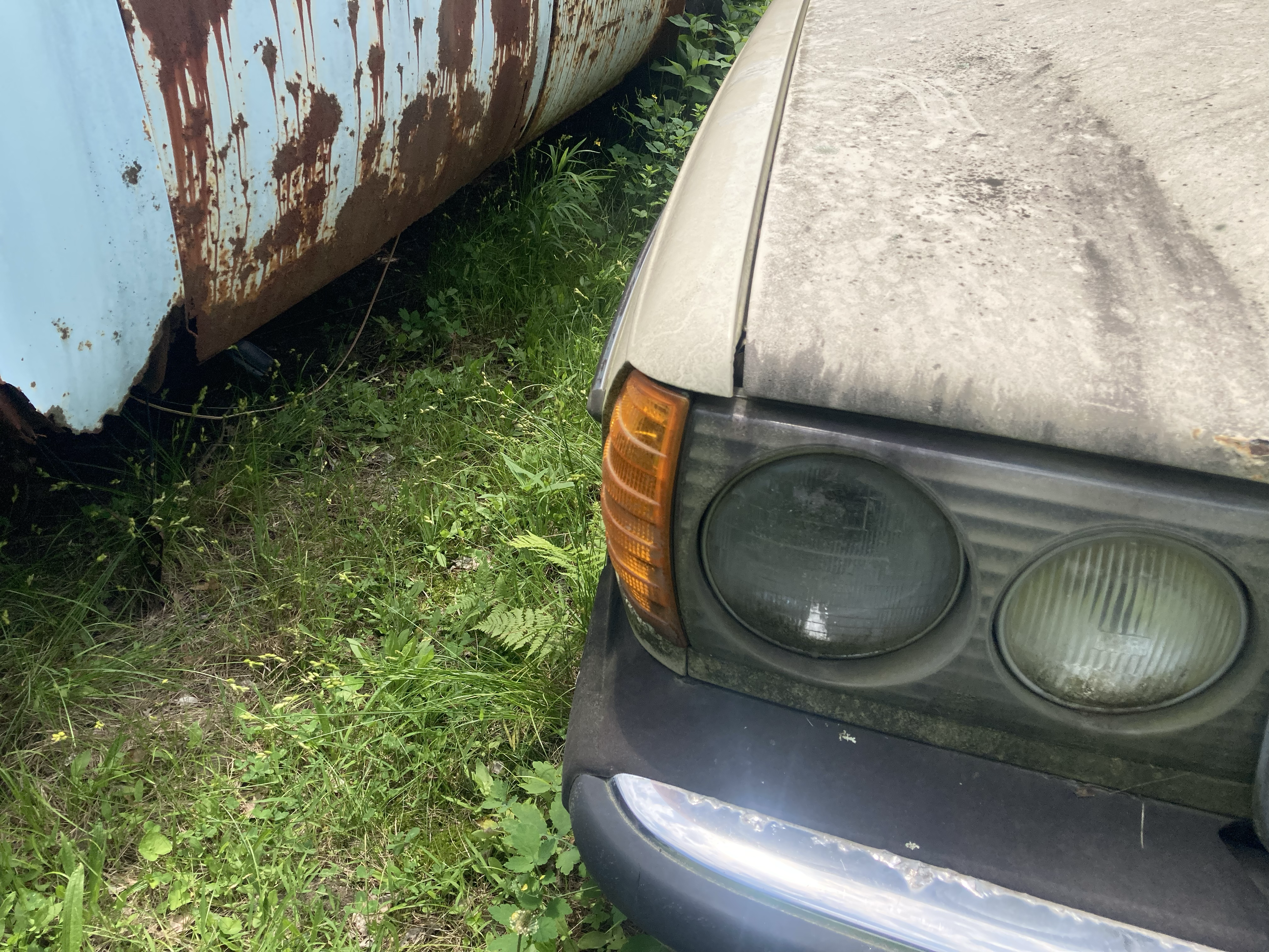 from an afternoon walk