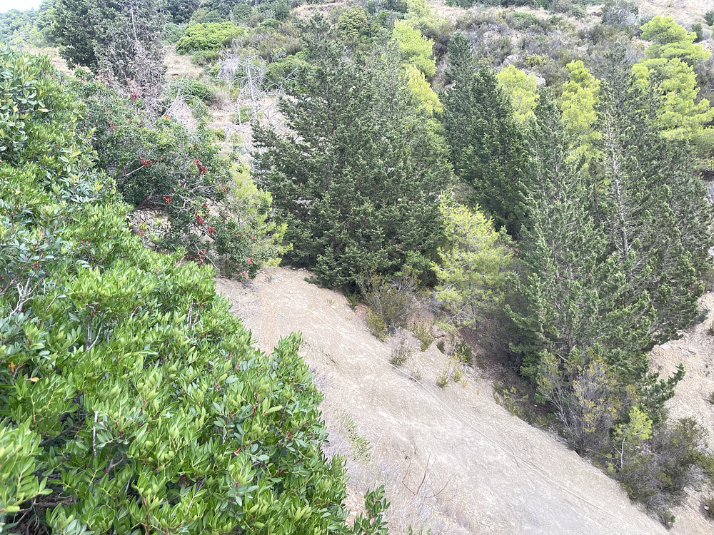 Rope Access Only