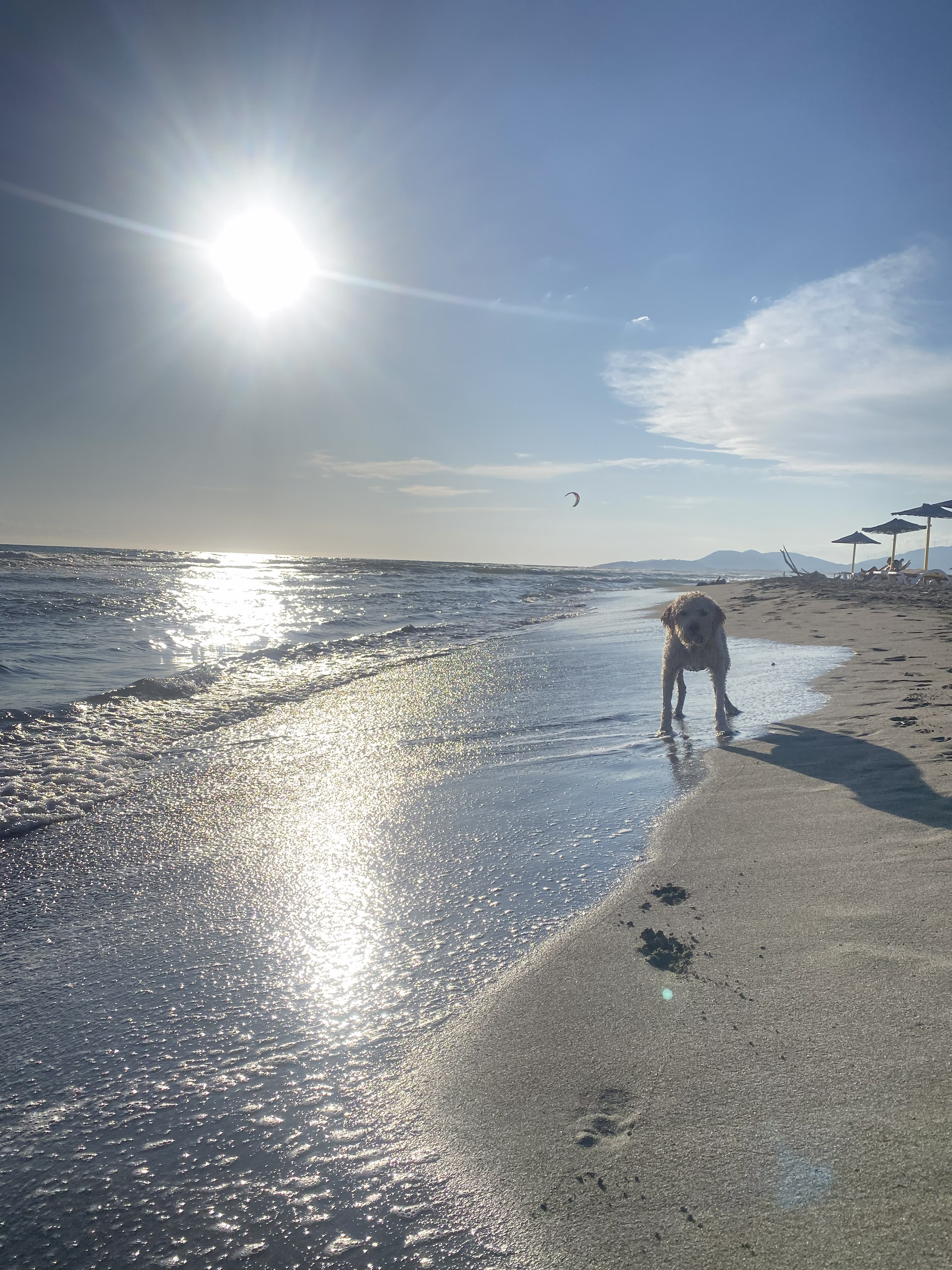 Living His Best Life