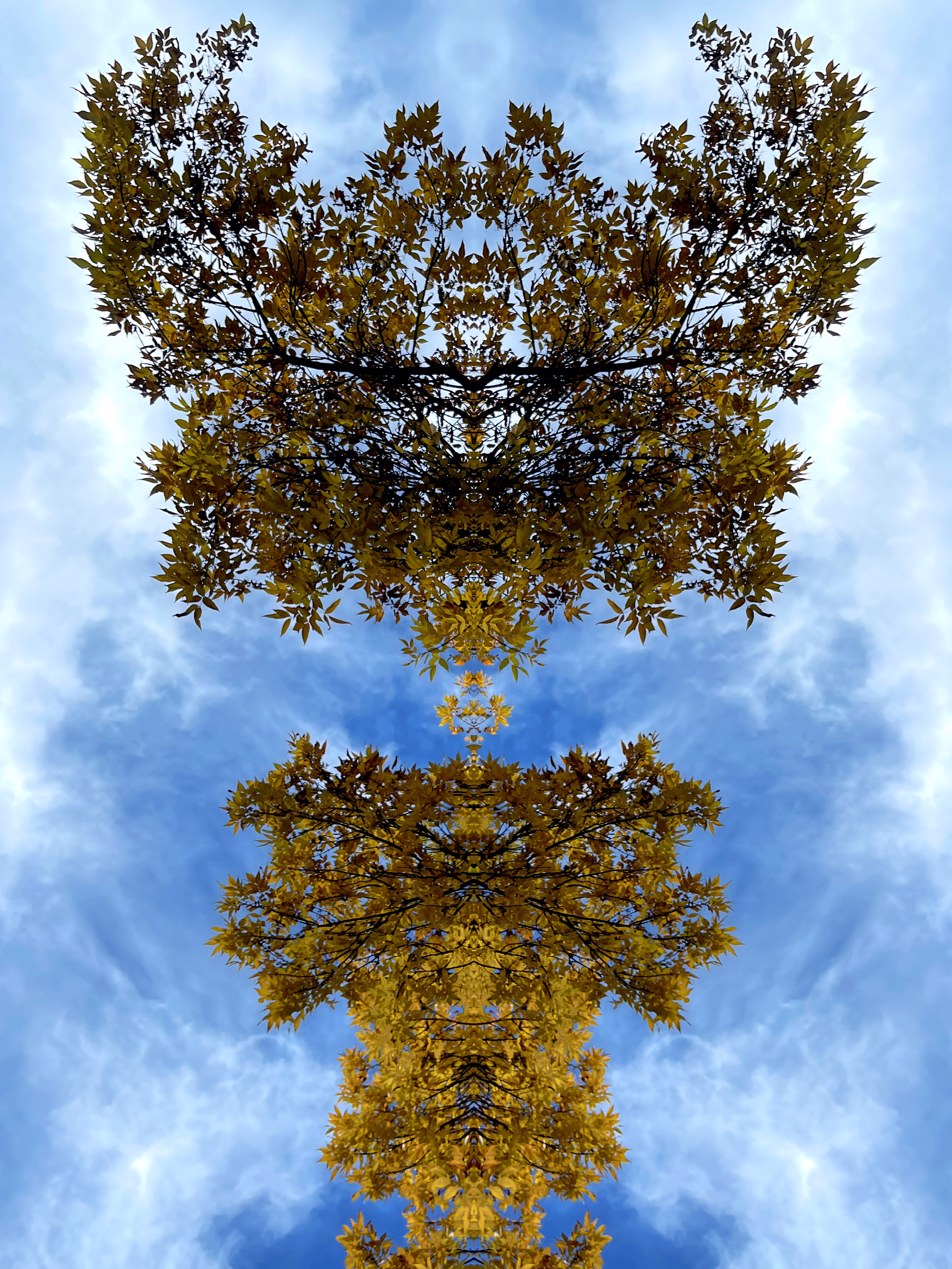 autumnal thought