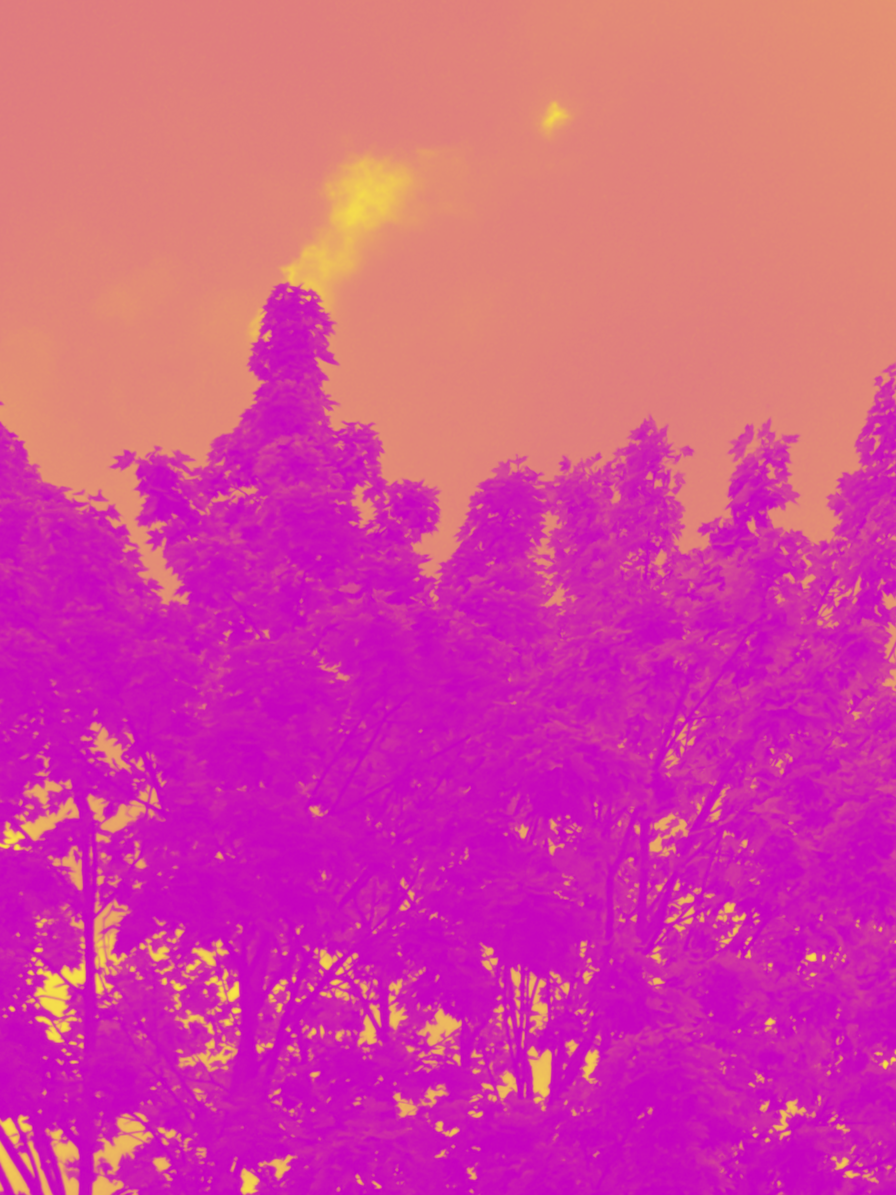 Photo 1116034