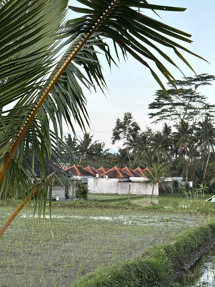 Photo 4716769