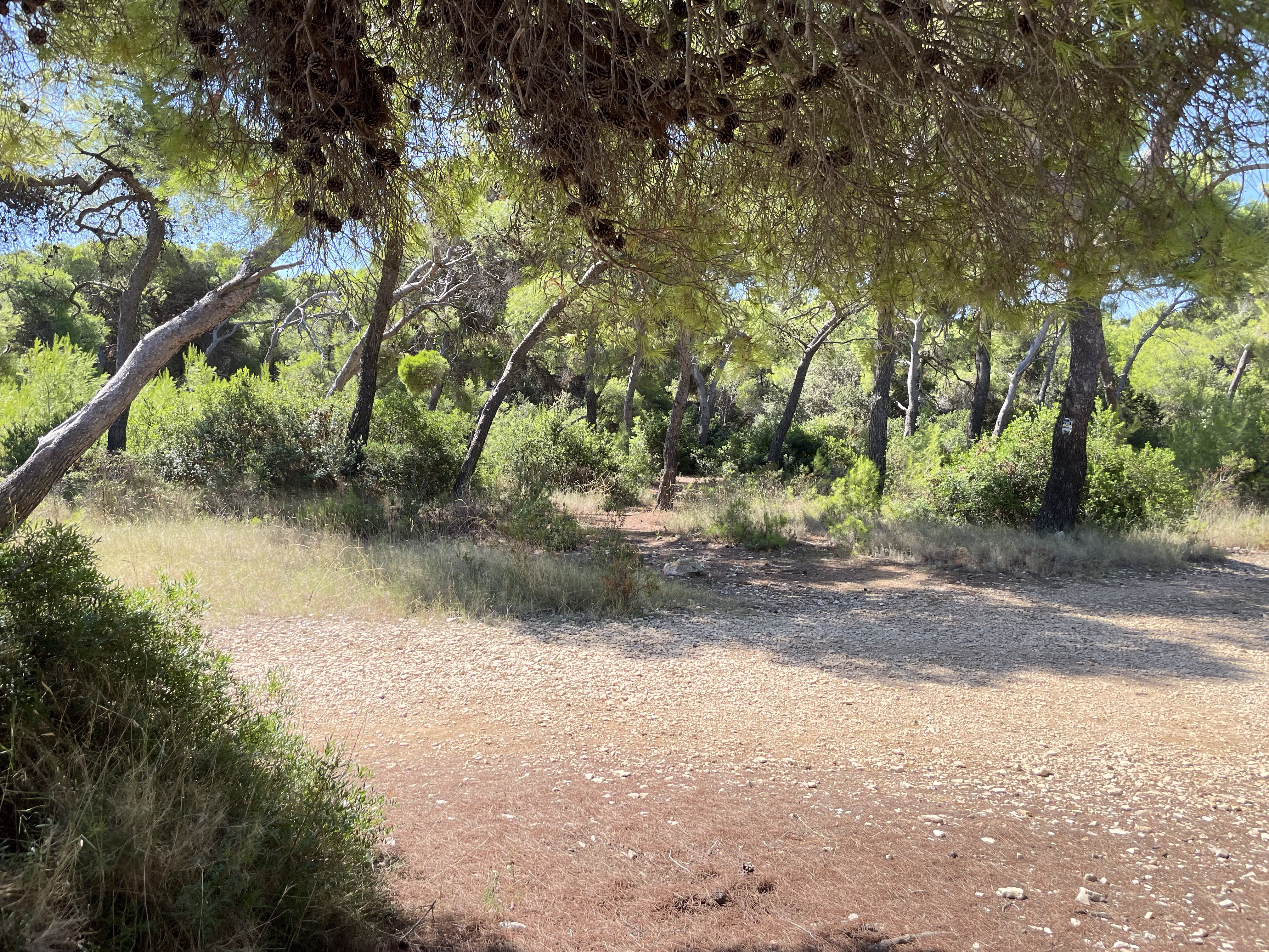 Towards Silver Beach 