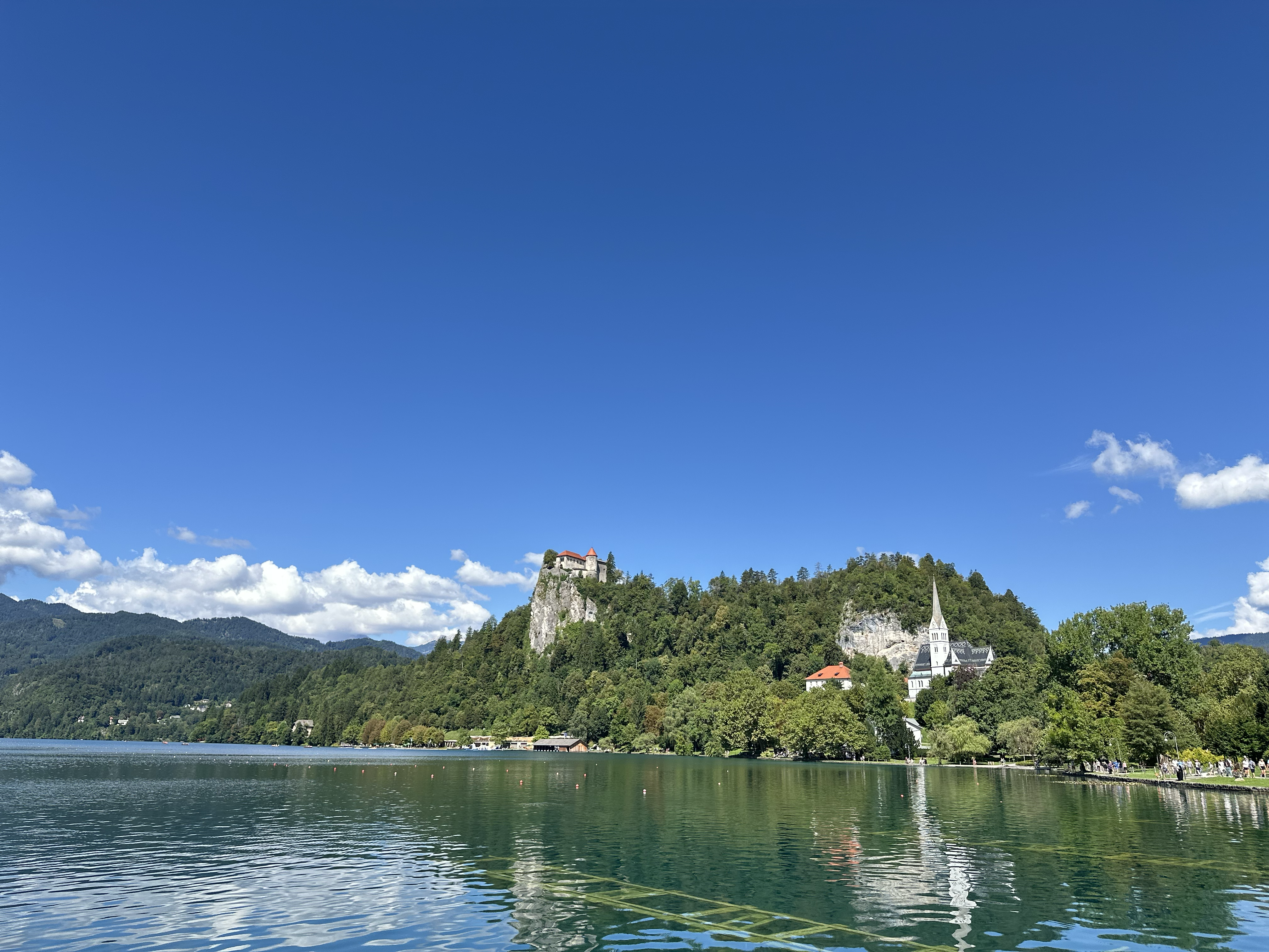 The Beauty of Nature 