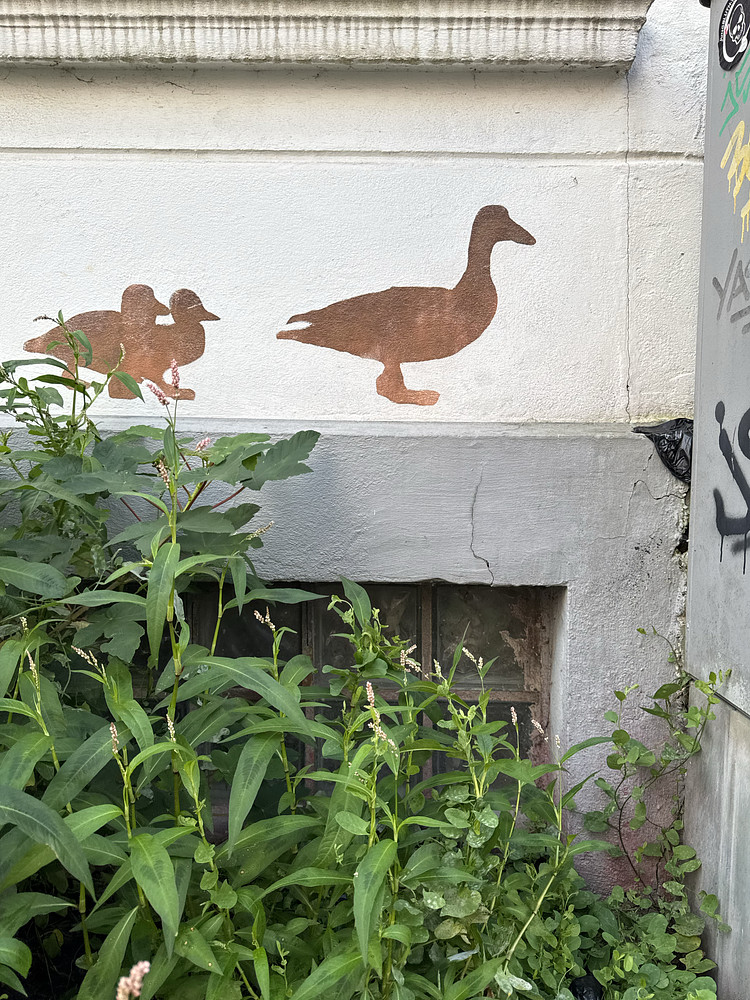 Ducklife 