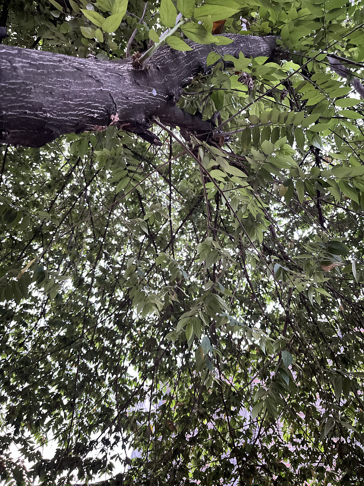 Photo 5875855
