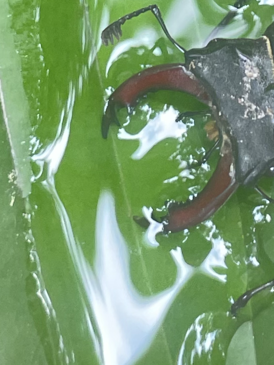 Subconscious Drinking