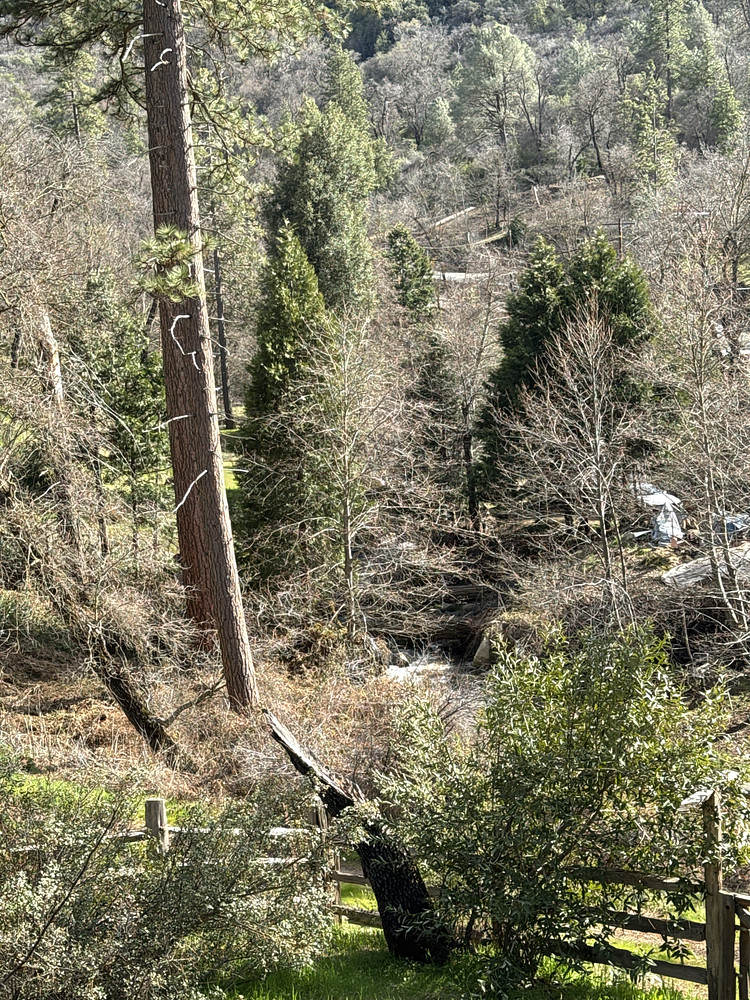 Creek view