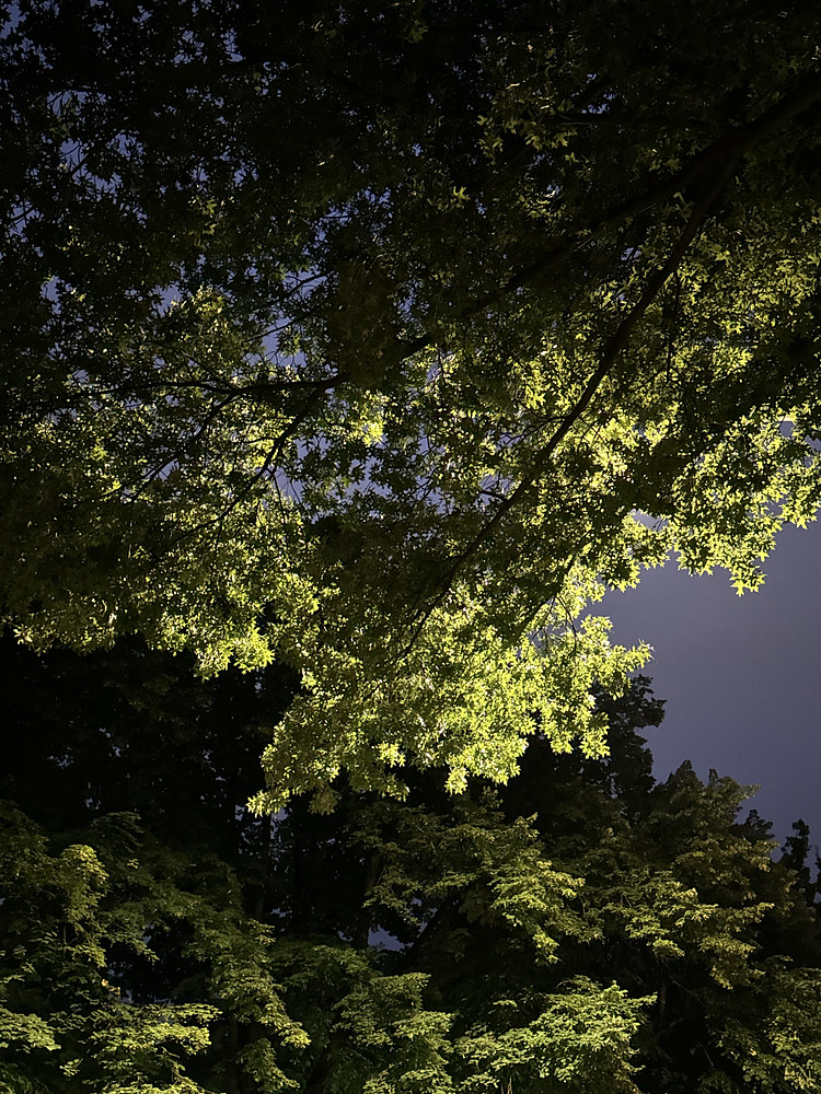 Photo 8752032