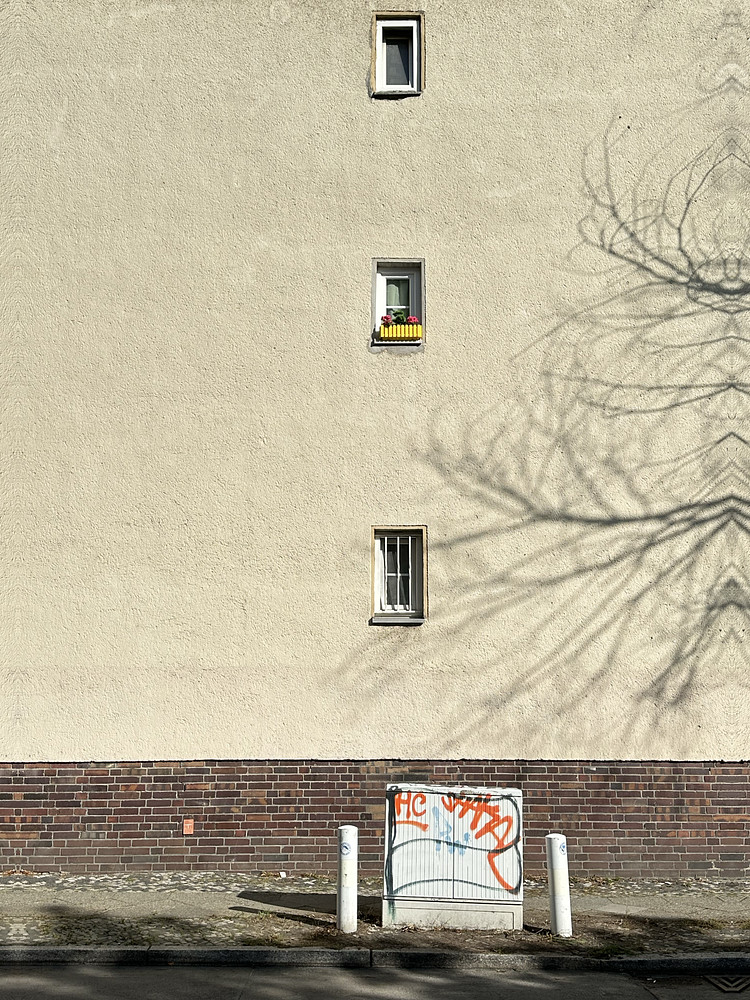Middle Window