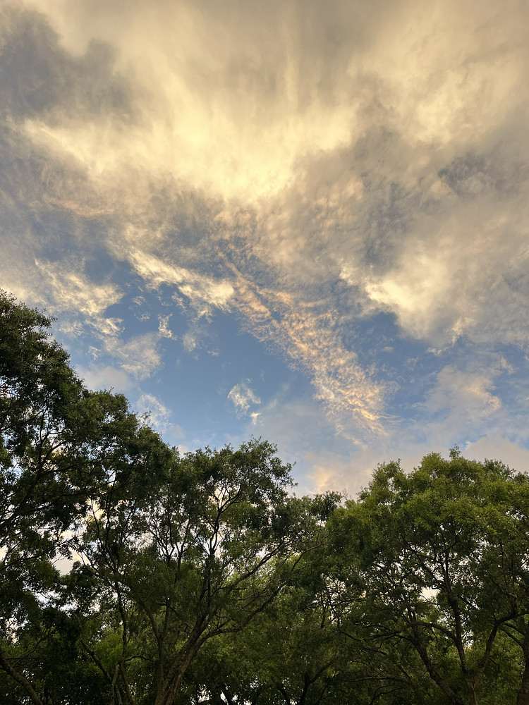 Feels Like Central Park