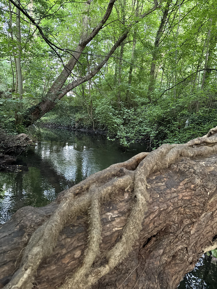 Photo 9276446