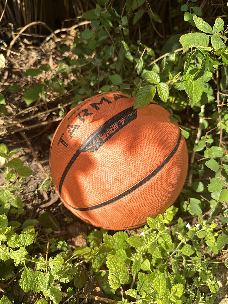Photo 8077427