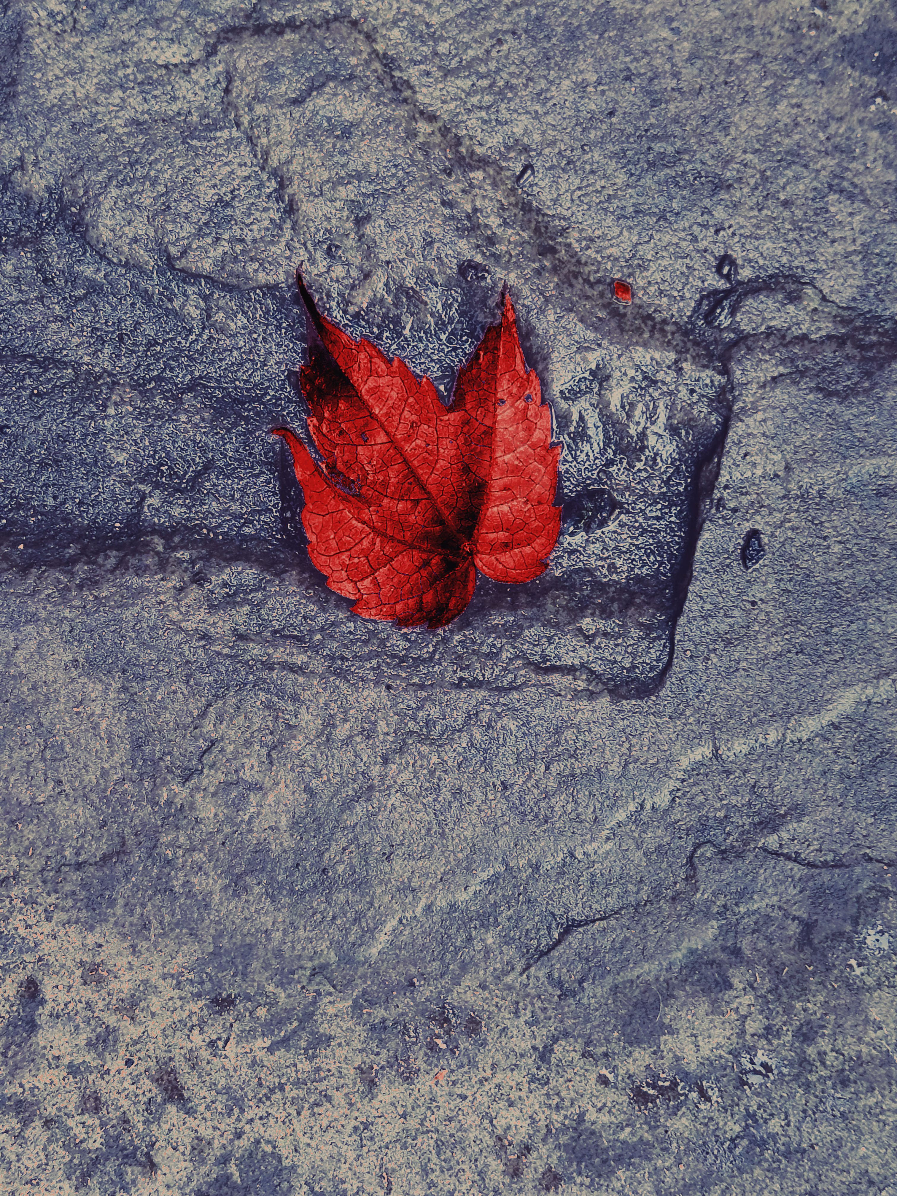 Heart of Nature