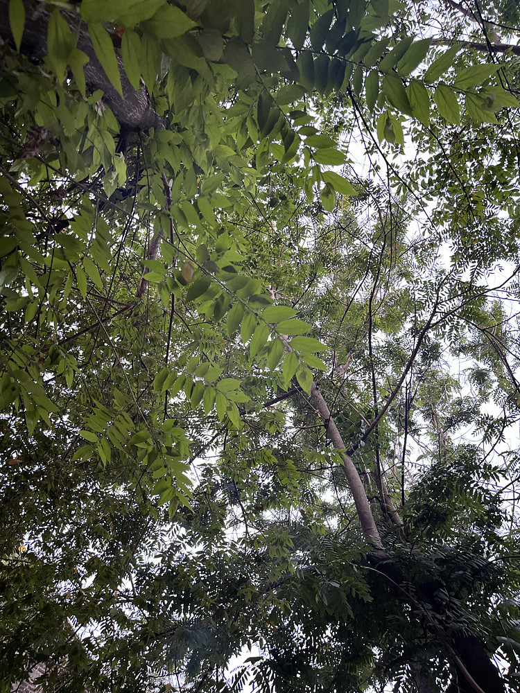 Photo 7951424
