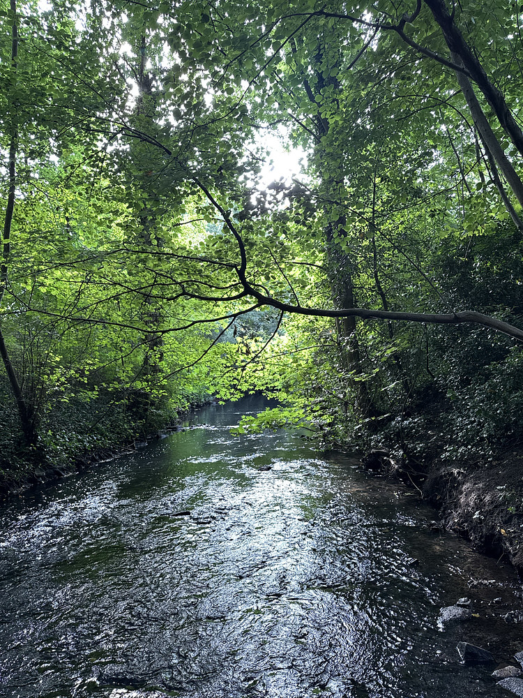 Photo 1046156