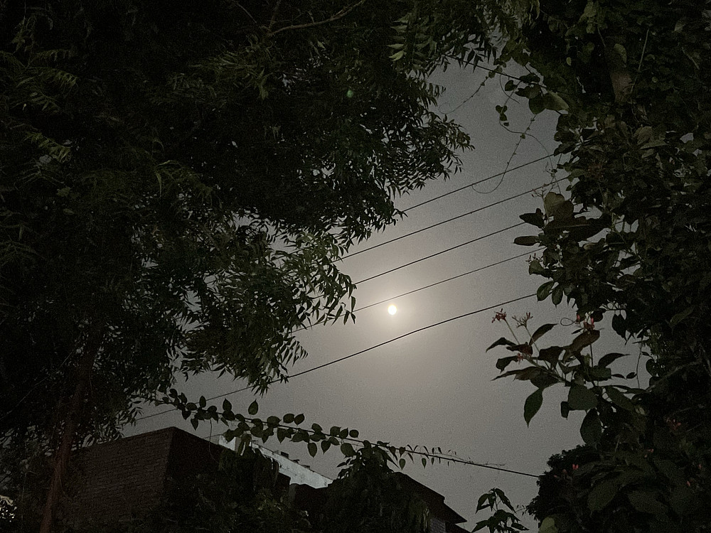 Moonrise
