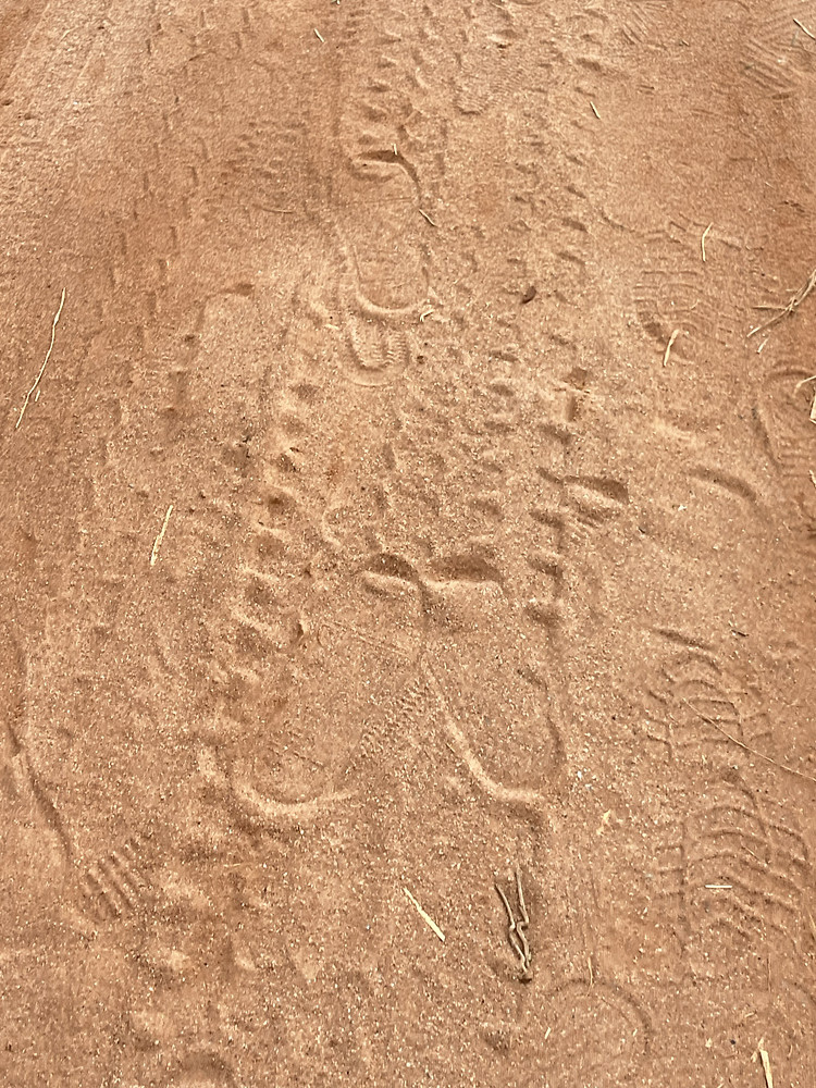 Footpath