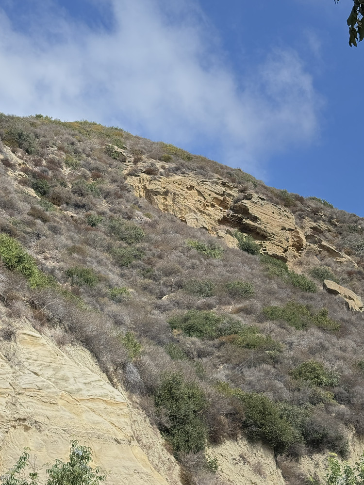 Canyon 