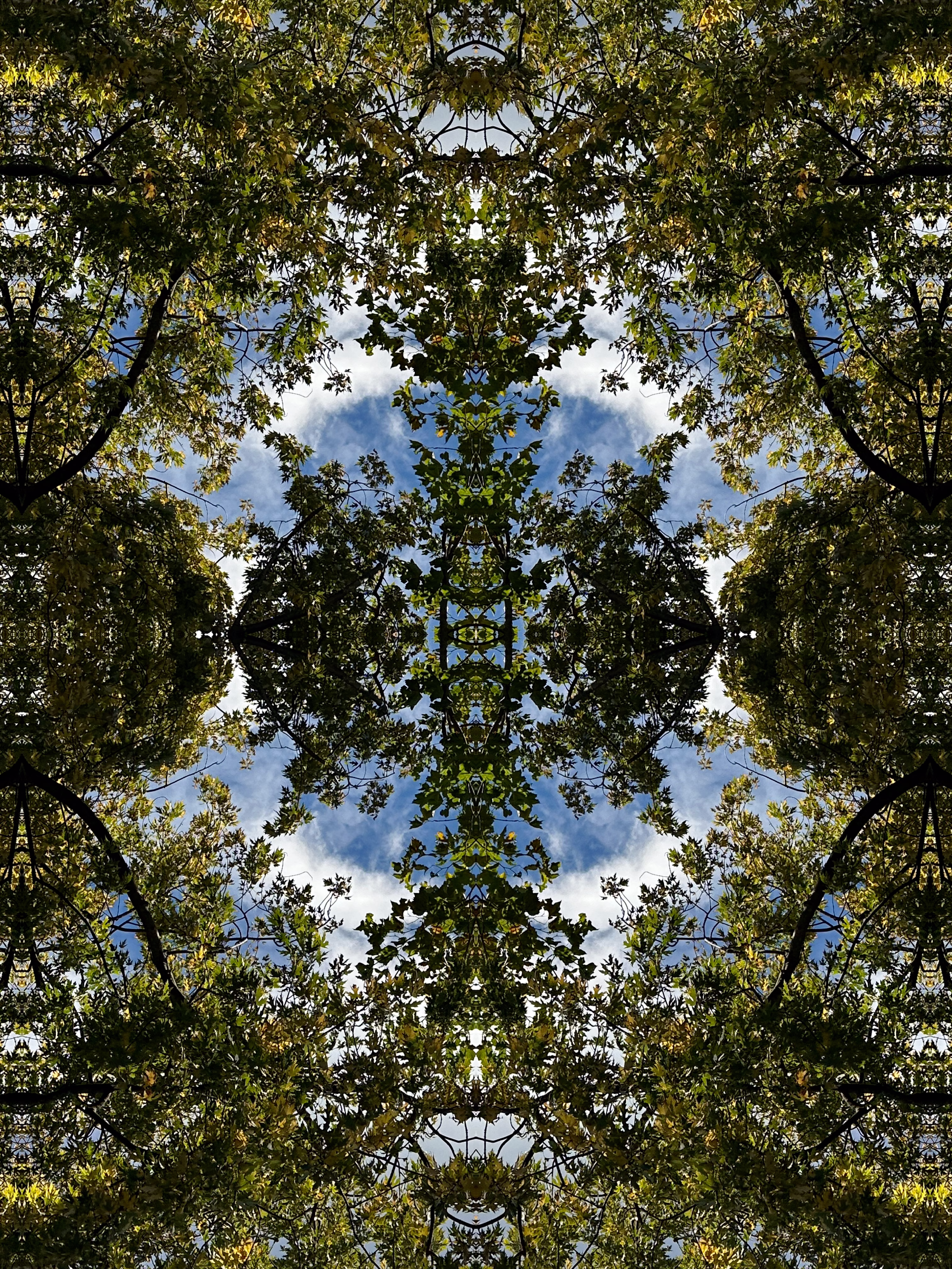 Patterns in the Sky