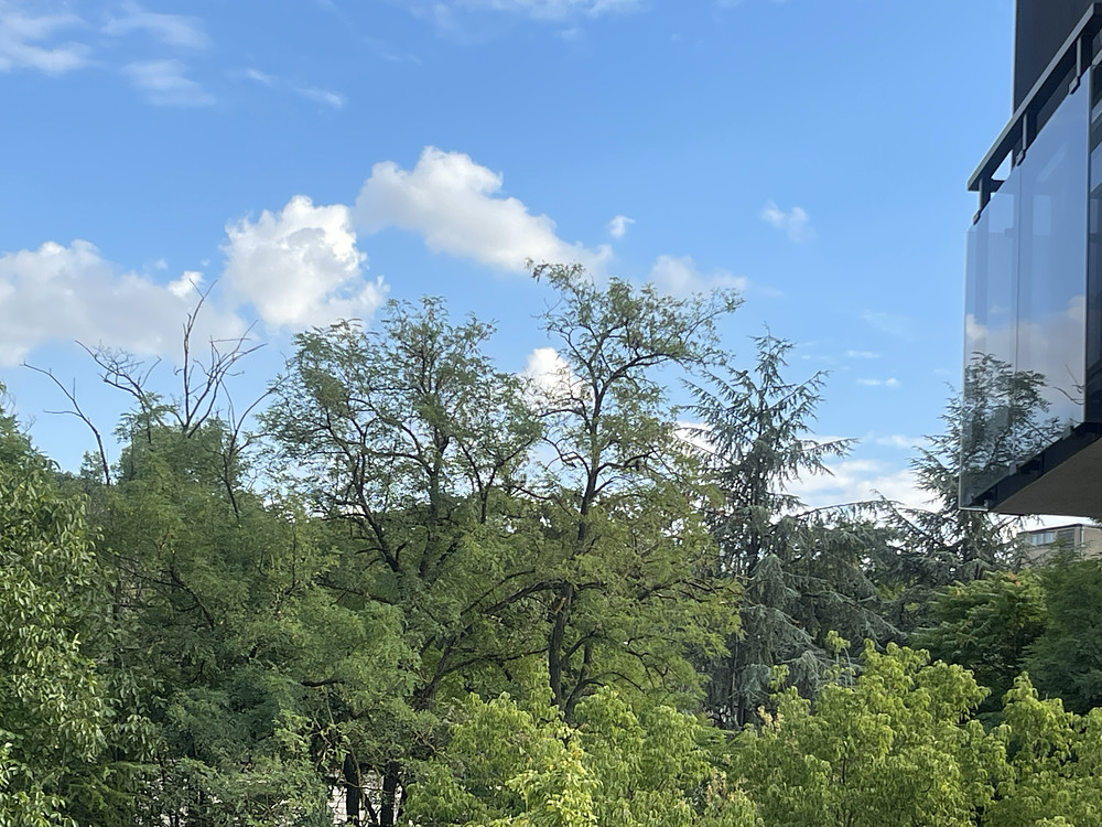 Photo 5549483