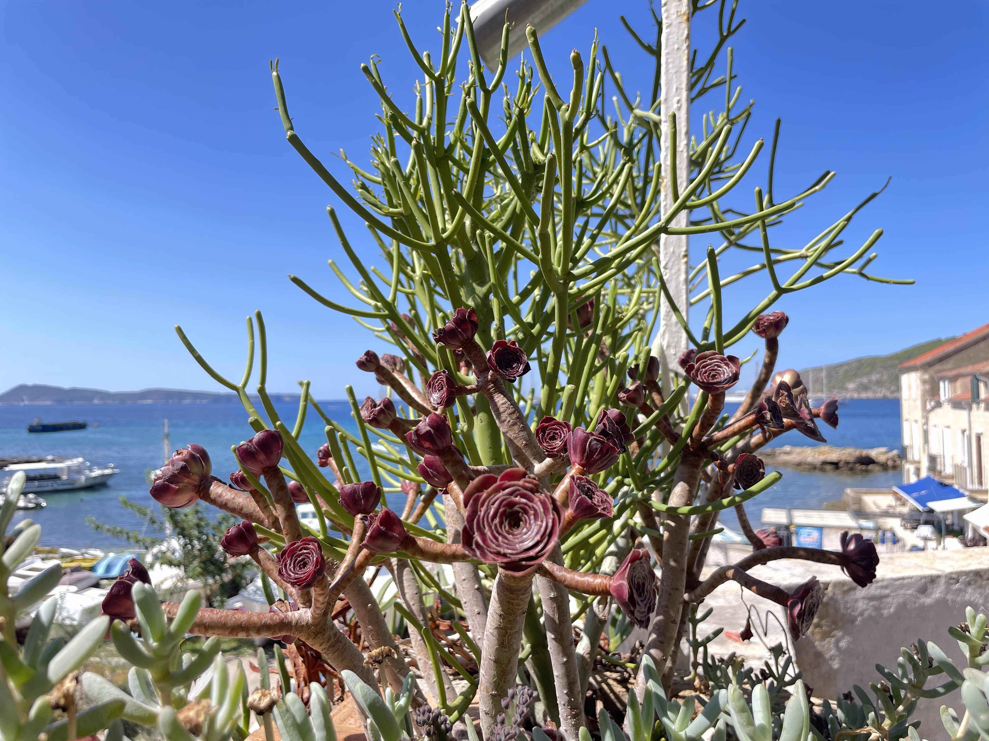 Haven’t seen you last year 