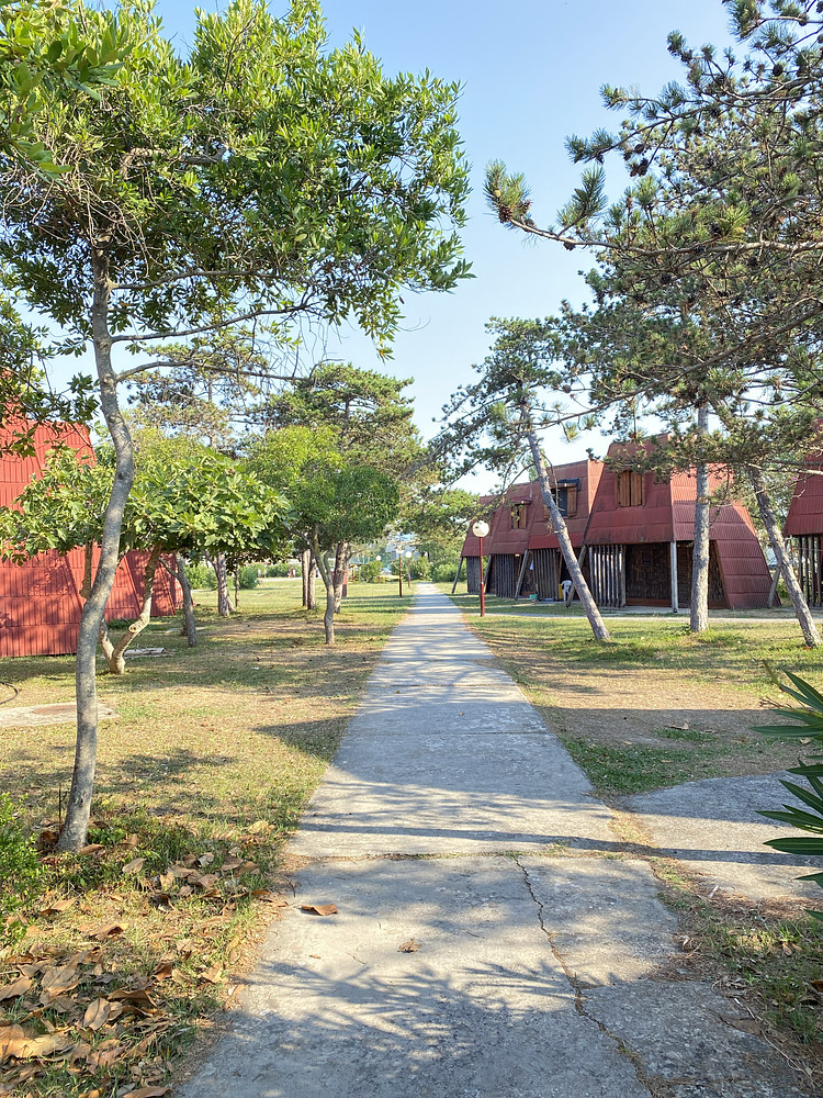 The Path
