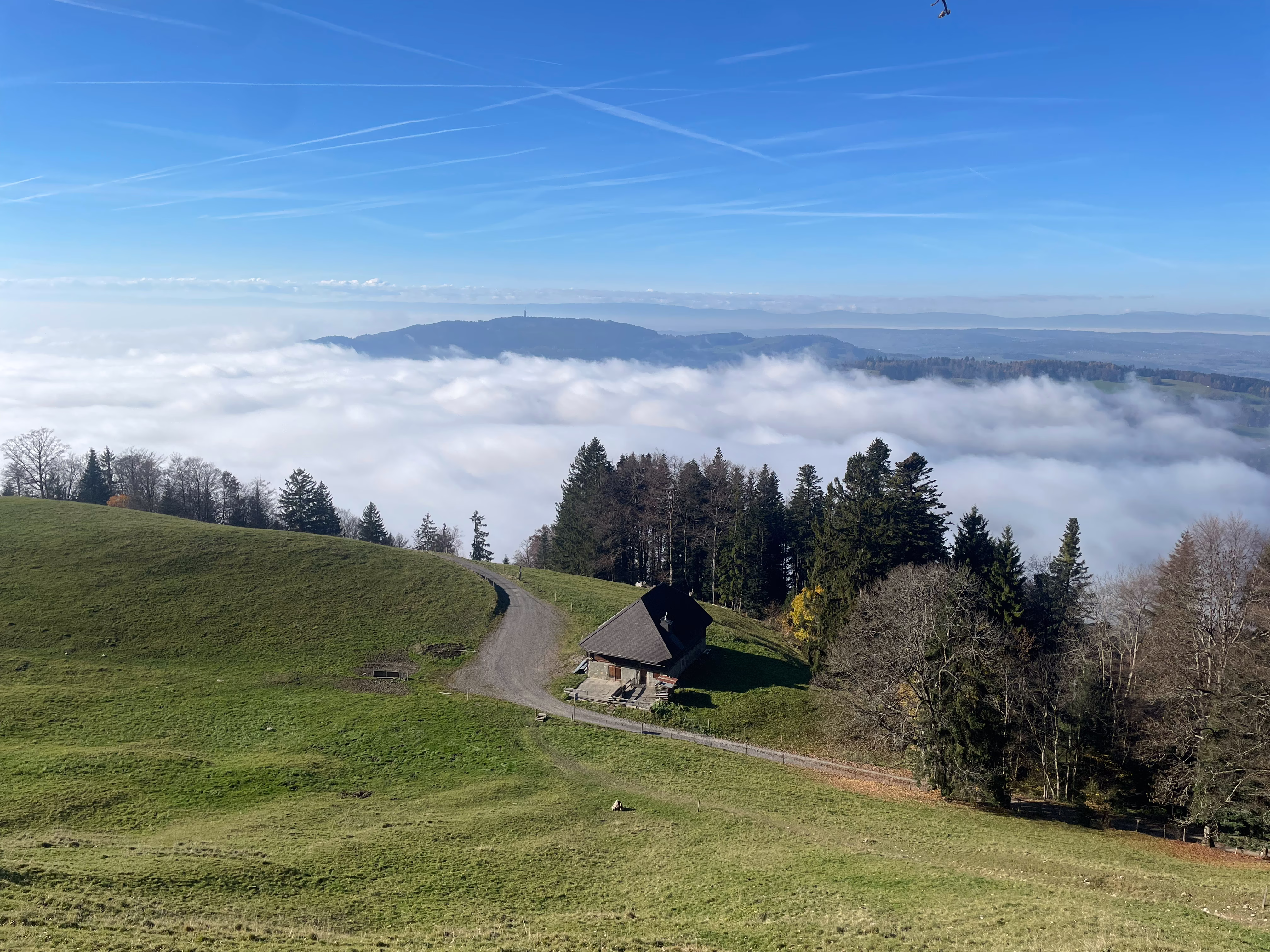 Blonay, Switzerland #1