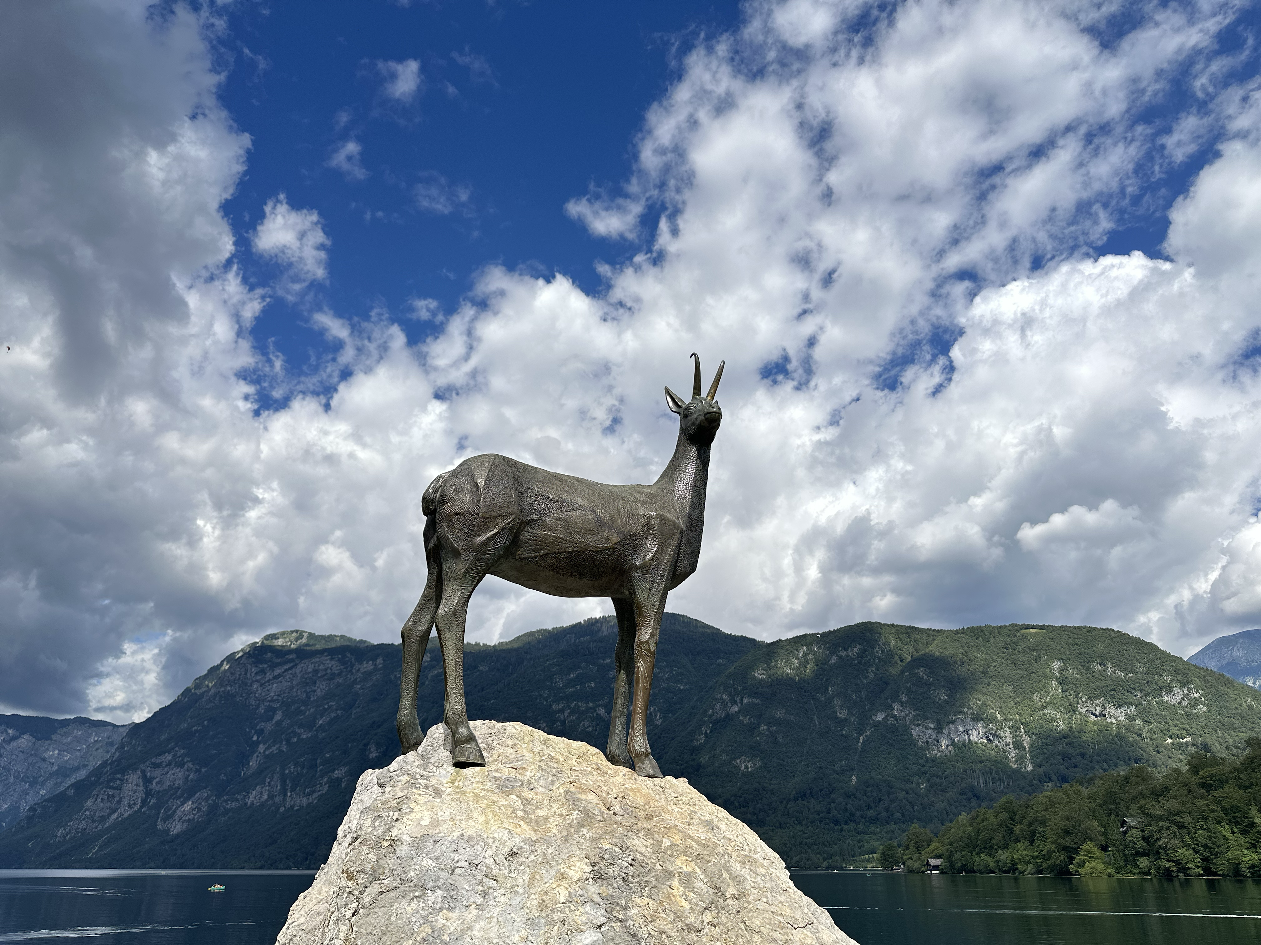 Bohinj