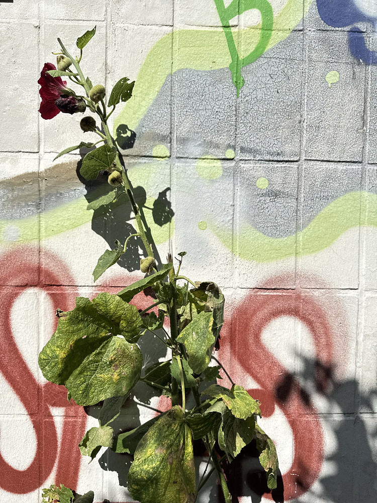 Photo 6375620