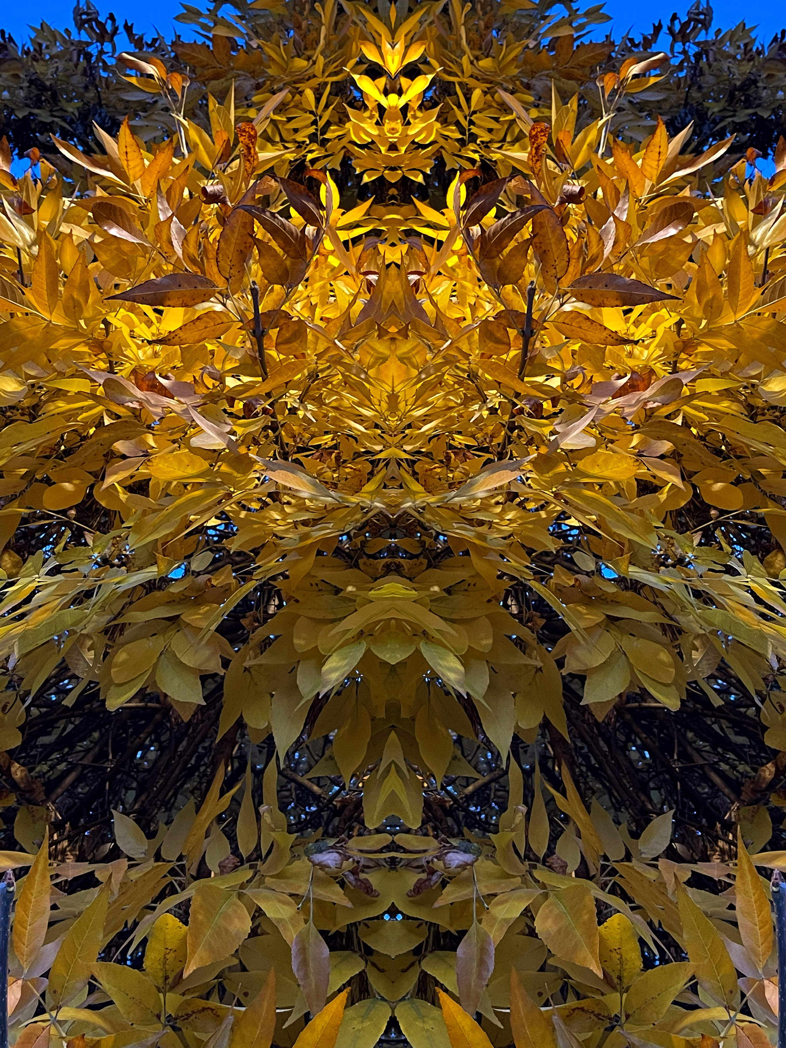 sacrality 